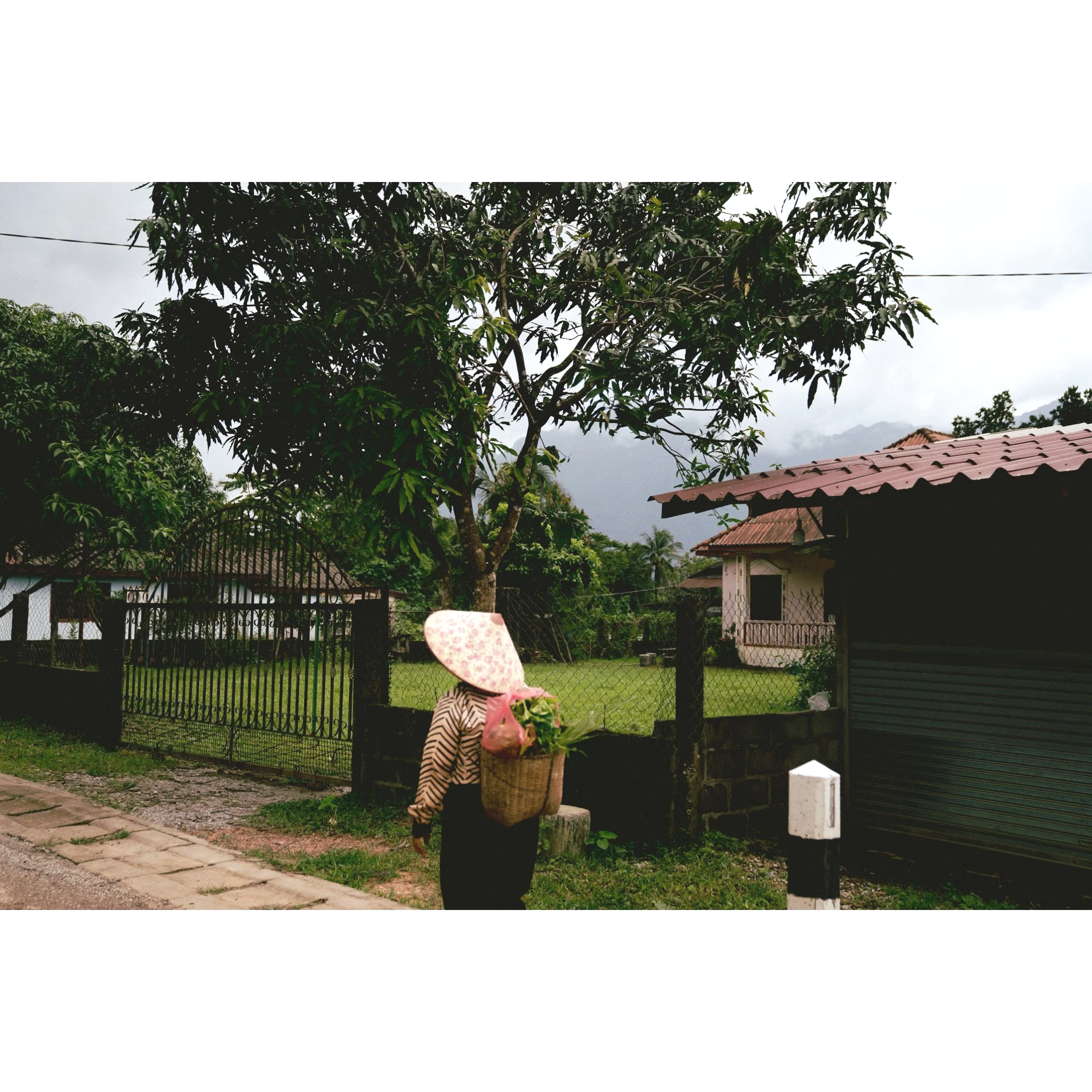IMG_8877.png