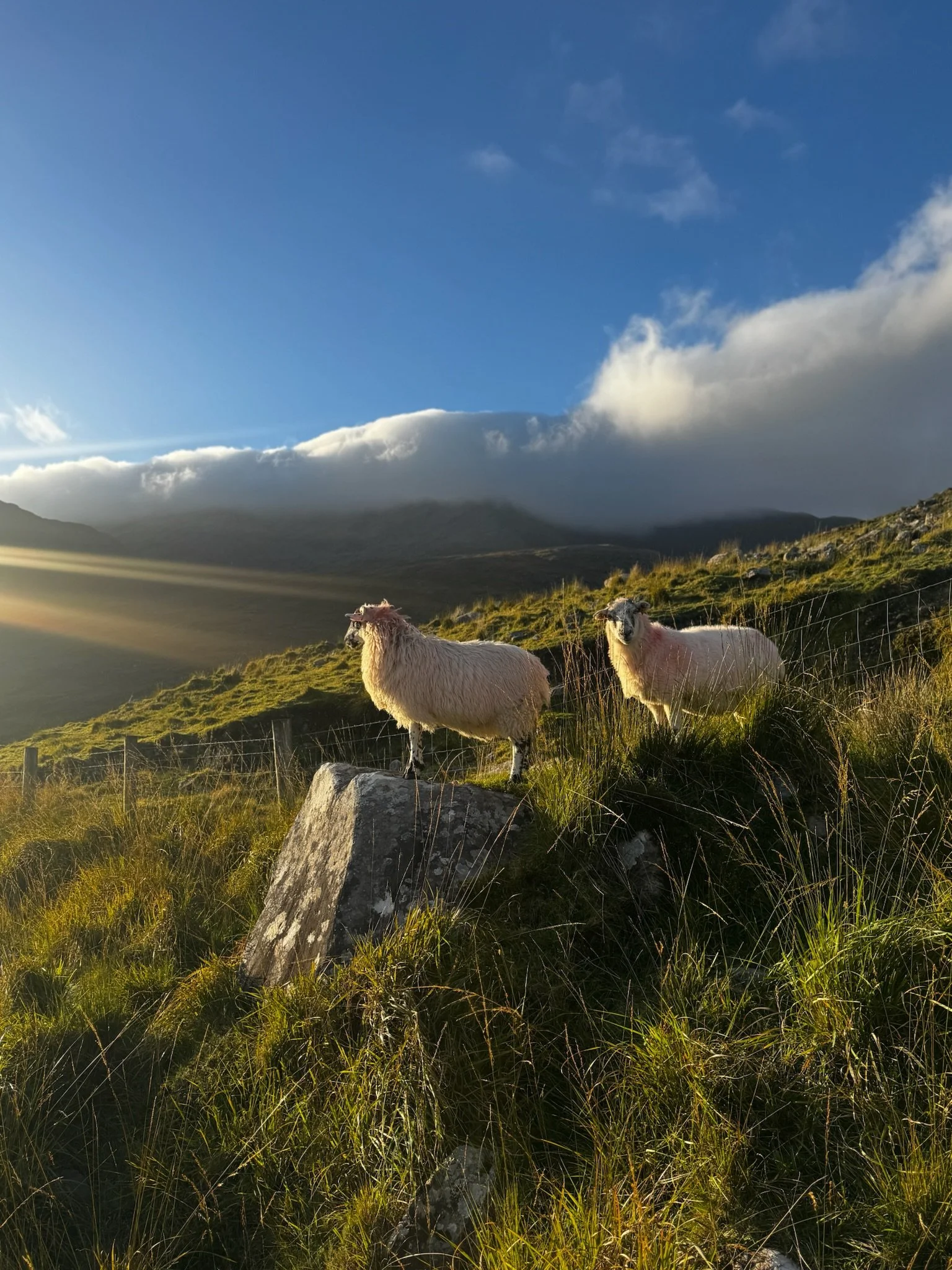Gap Of Dunloe Co. Kerry