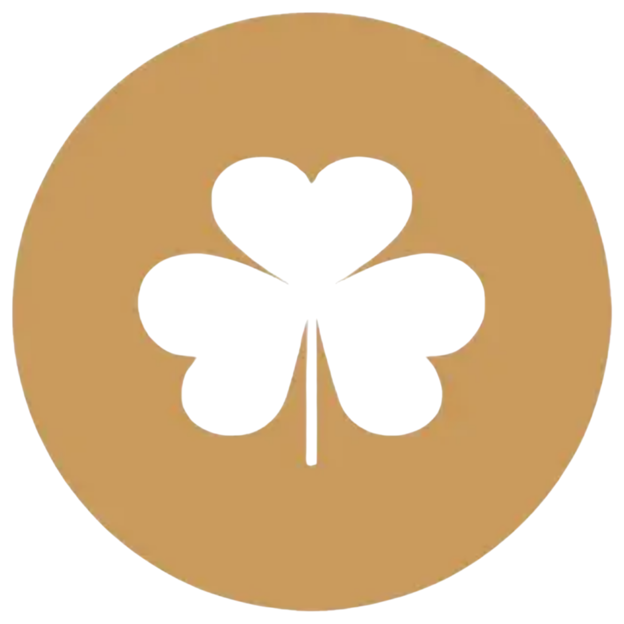 Shamrock Farmhouse B&B & Self Catering Accommodation