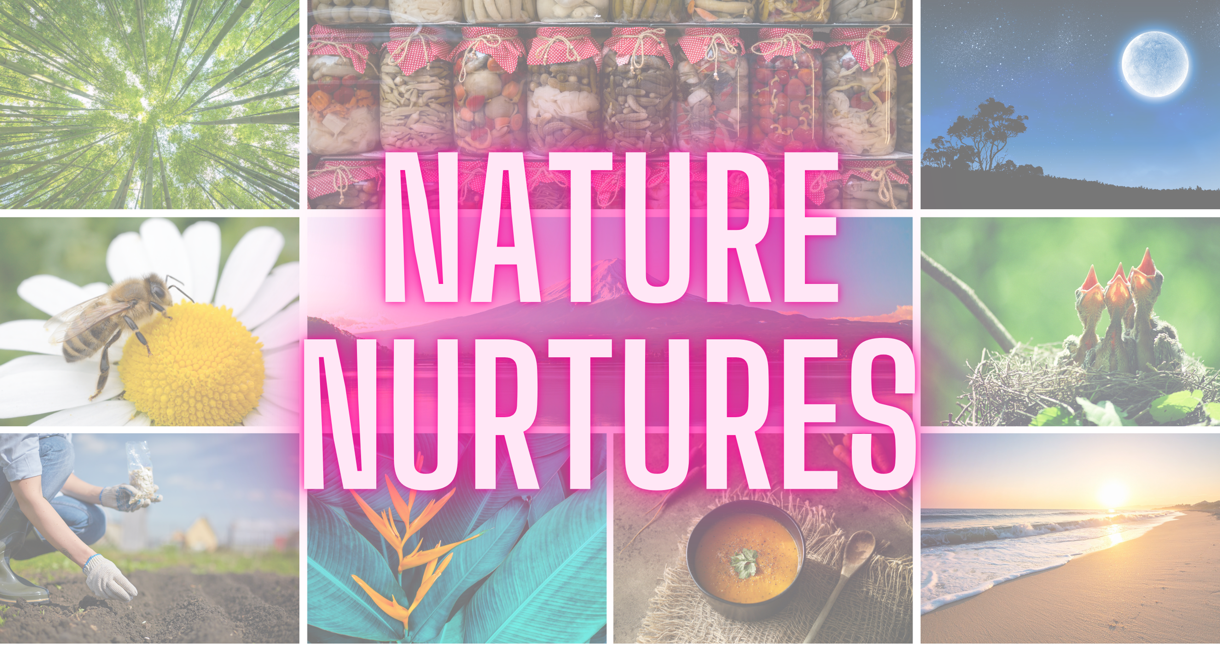 Collage of nature scenes including a forest canopy, jars of food, a moonlit night sky, a bee on a daisy, mountain landscape, young plants, a person planting, a sunset over the ocean, and a bowl of soup, with the text 'NATURE NURTURES' in pink in the center.