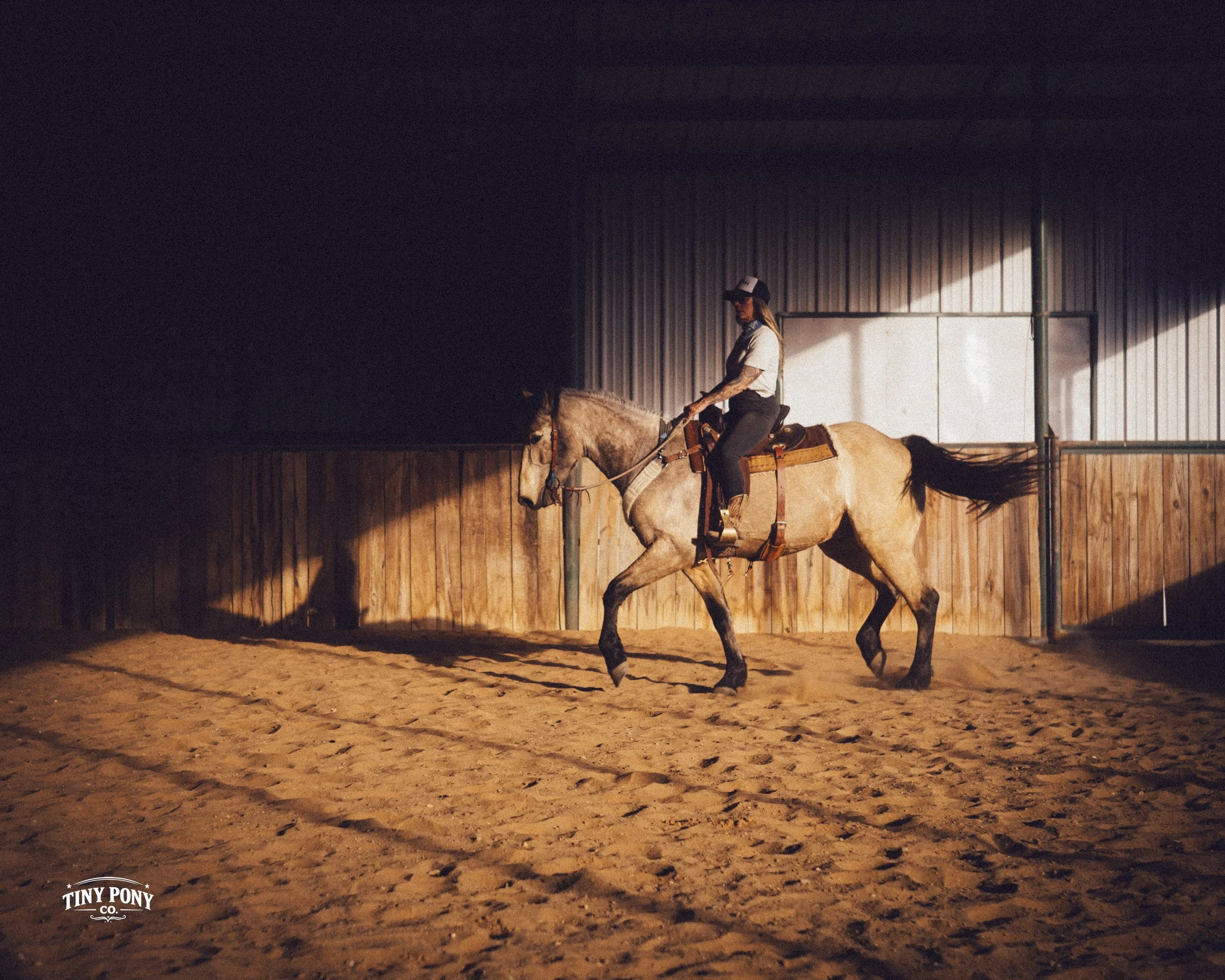 Person riding a horse in an indoor arena with wooden walls and sandy floor, illuminated by sunlight.