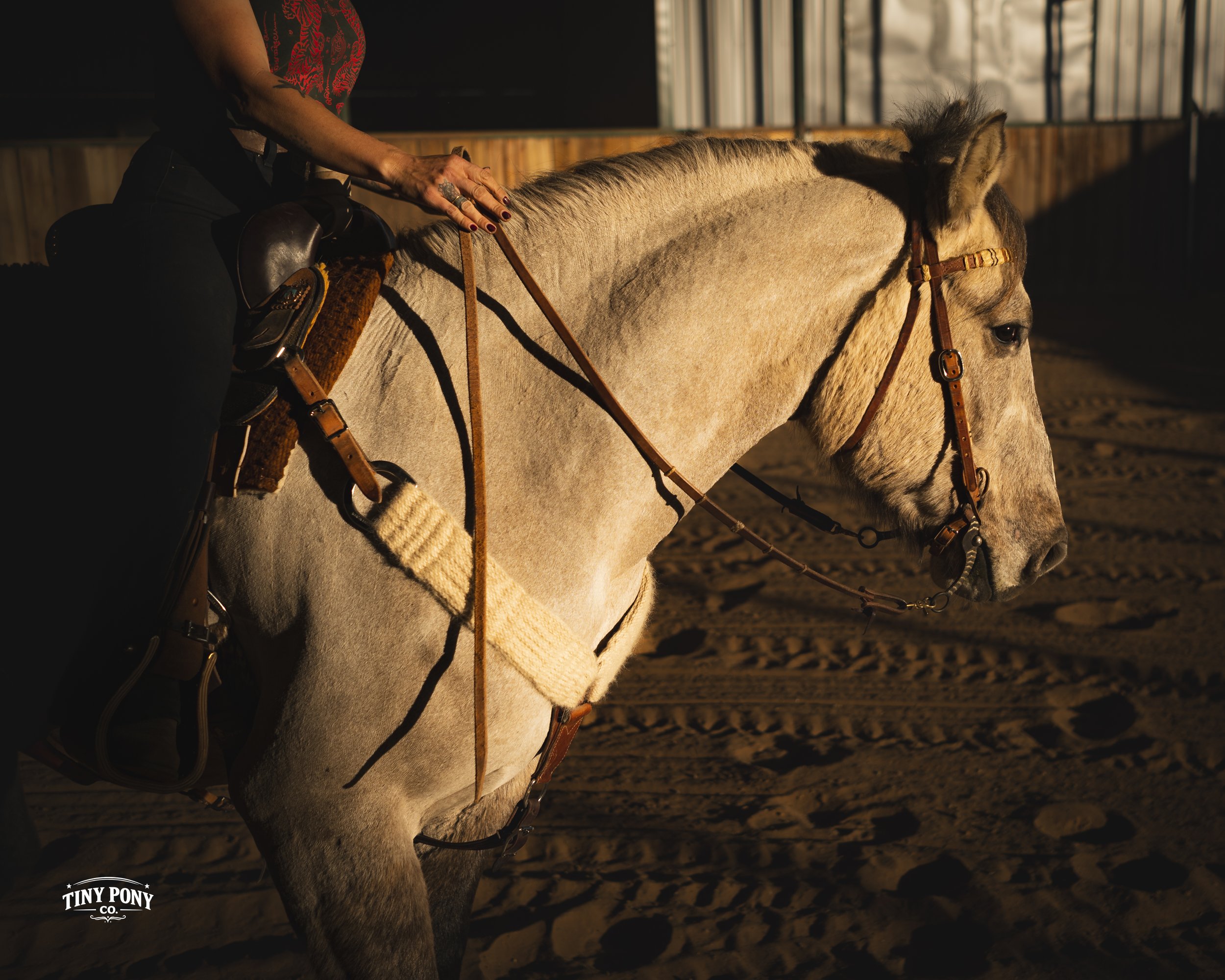 A person riding a light-colored horse in an indoor riding arena, illuminated by warm lighting.