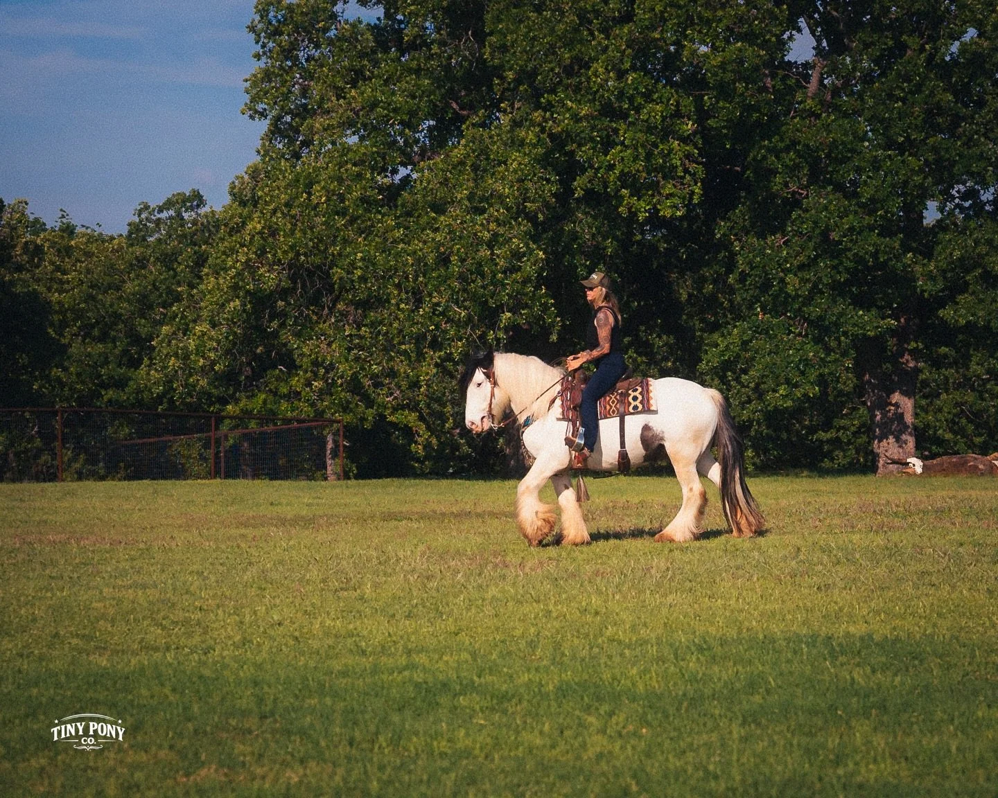 :: springtime in texas 🤍 who knew?

#spring #texas #horses #gypsyvanner #mylittlepony
