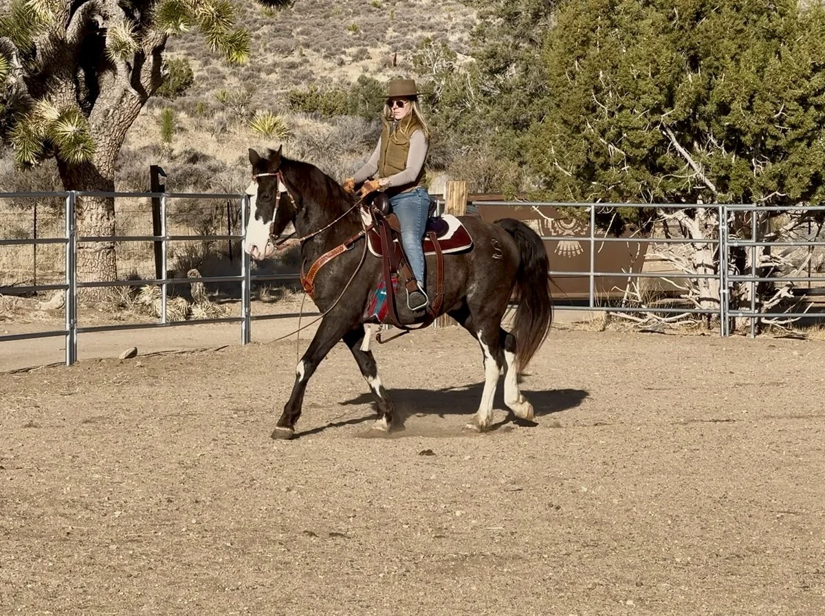 Ivar out in Joshua Tree