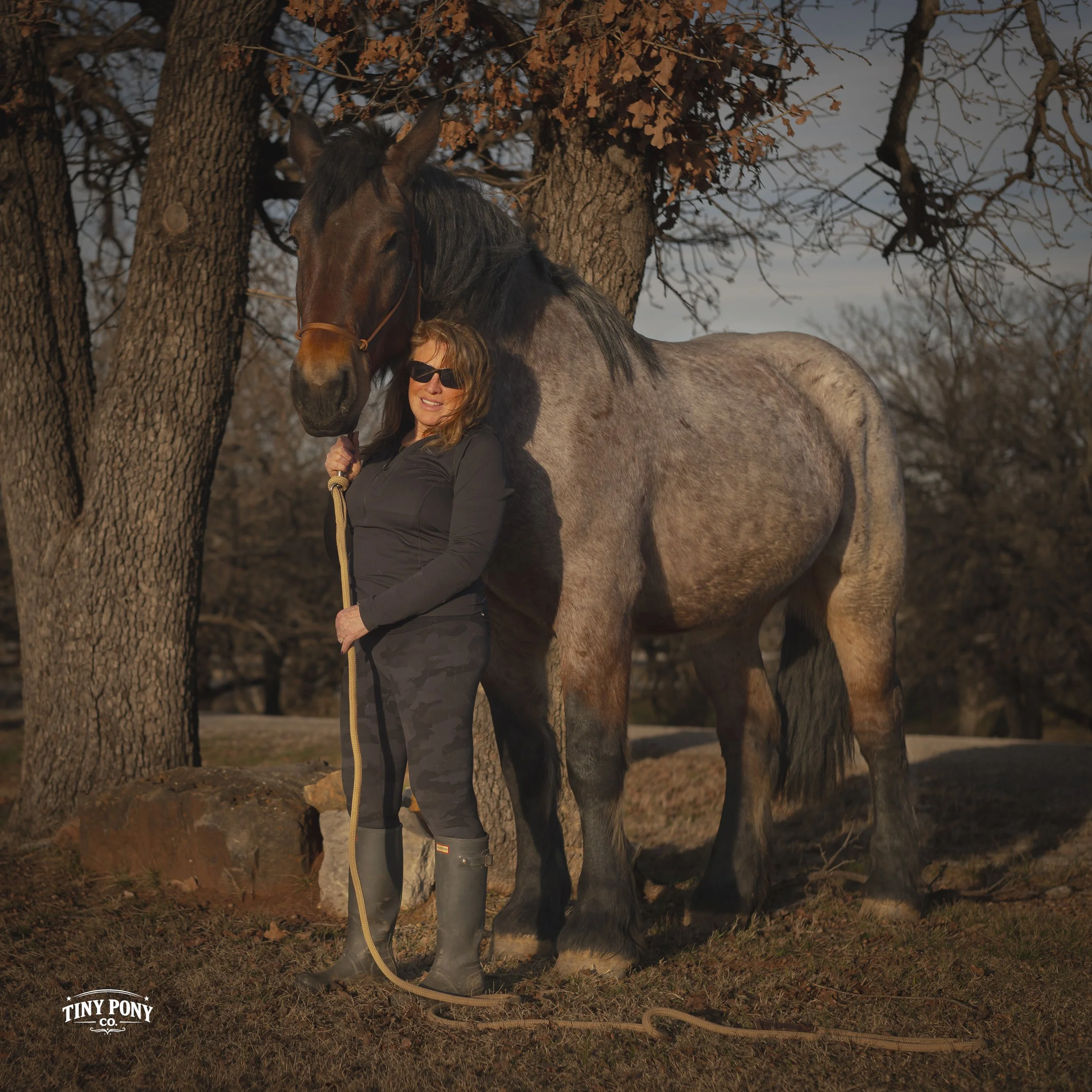 A woman with sunglasses and a black jacket standing next to a large gray horse, holding its reins, outdoors near trees during sunset.