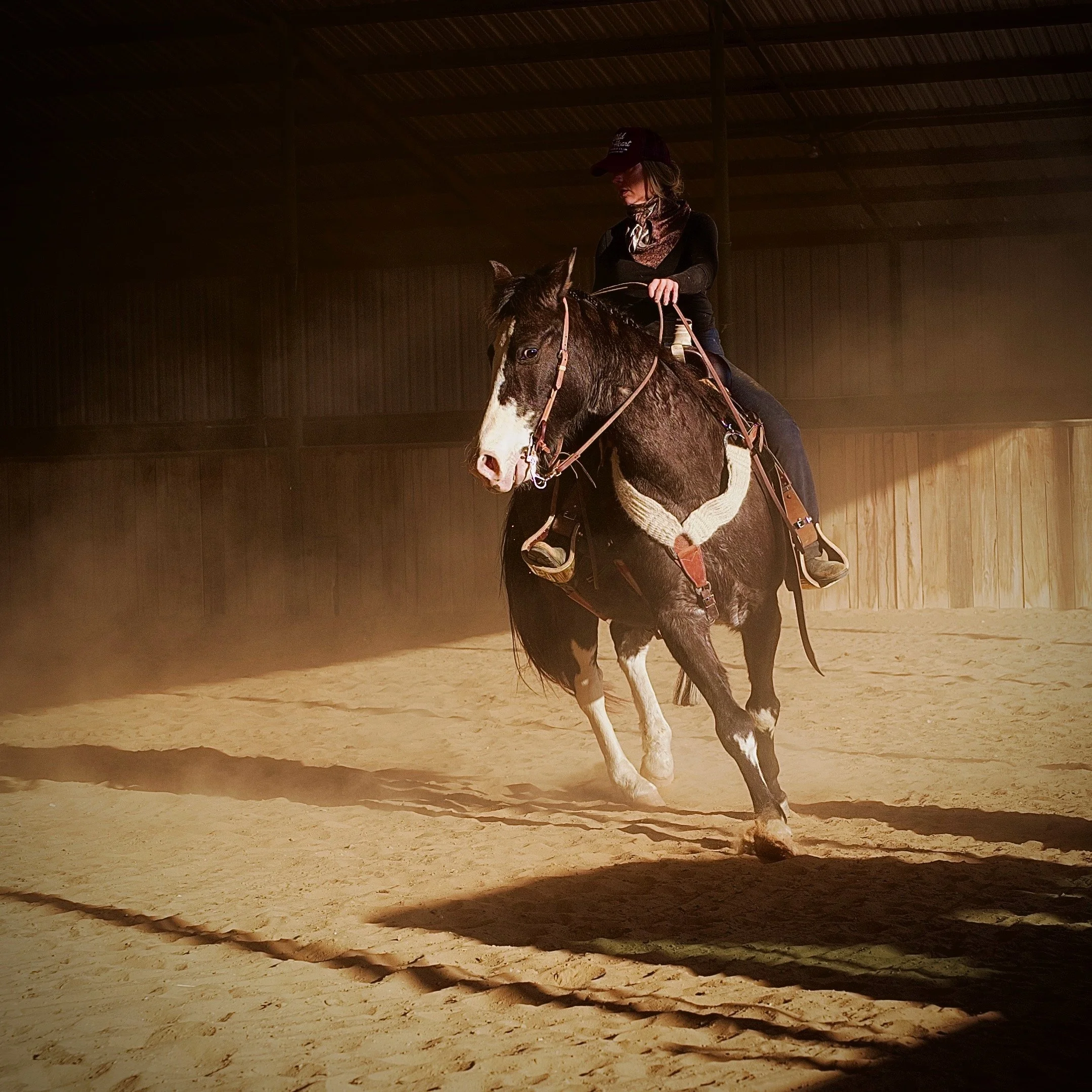 A person riding a horse inside an indoor riding arena. The rider is dressed in black, wearing a hat, and the horse is black with white markings on its face and legs, kicking up dust as it moves.
