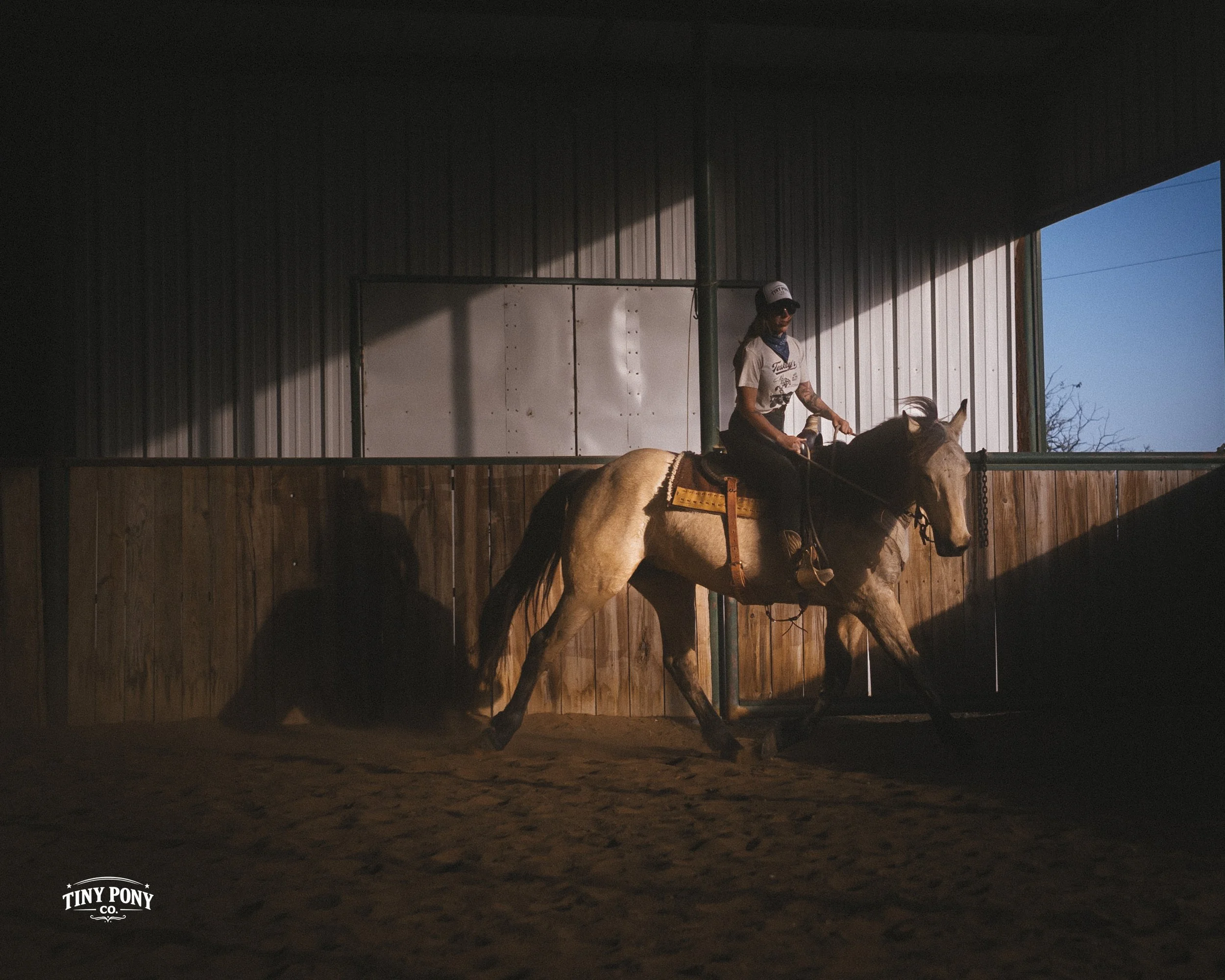 A woman riding a horse inside a covered riding arena with sunlight coming through an open side, casting shadows on the wall and ground.