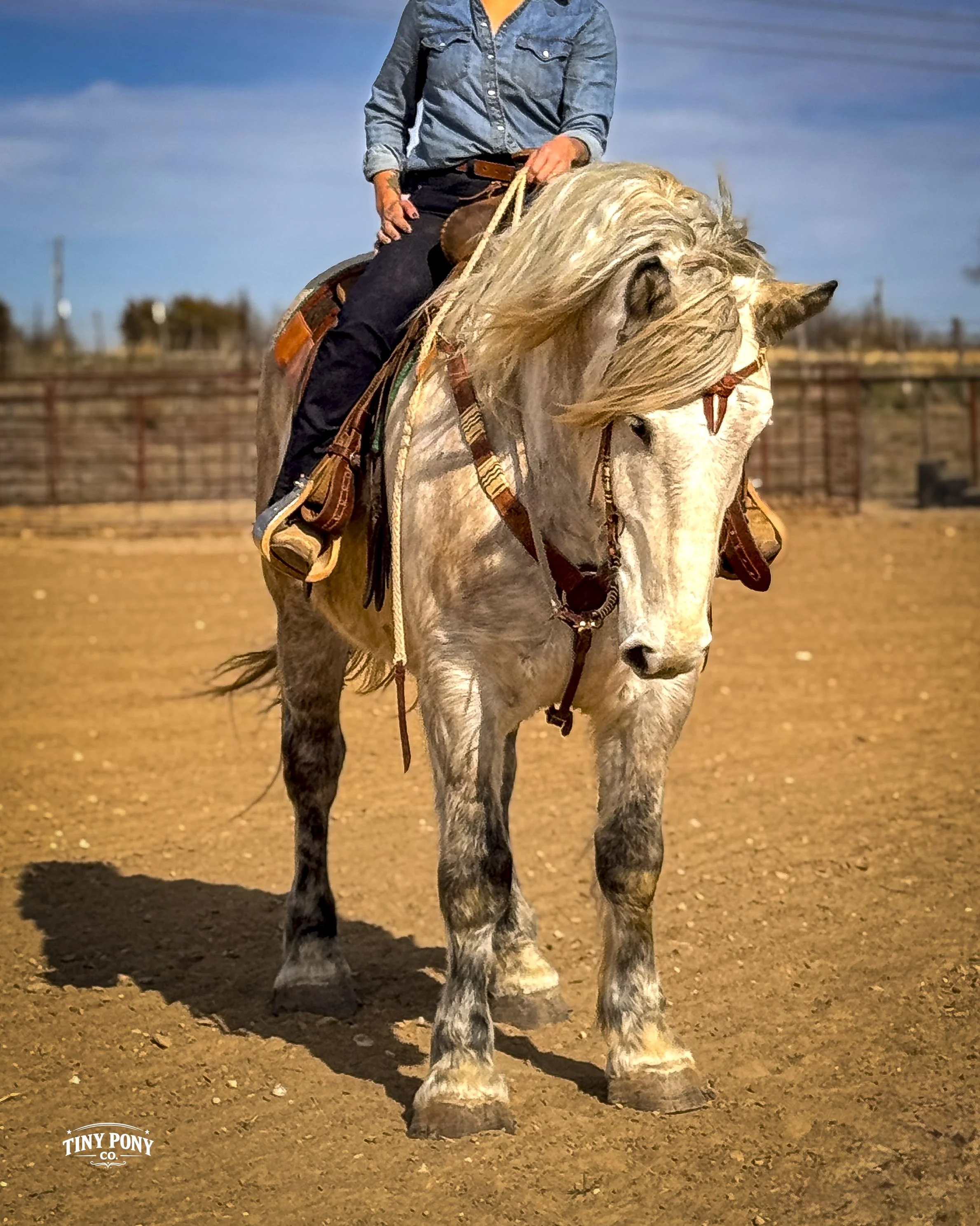 A person riding a light-colored horse on a dirt arena with a wooden fence in the background and clear blue sky.