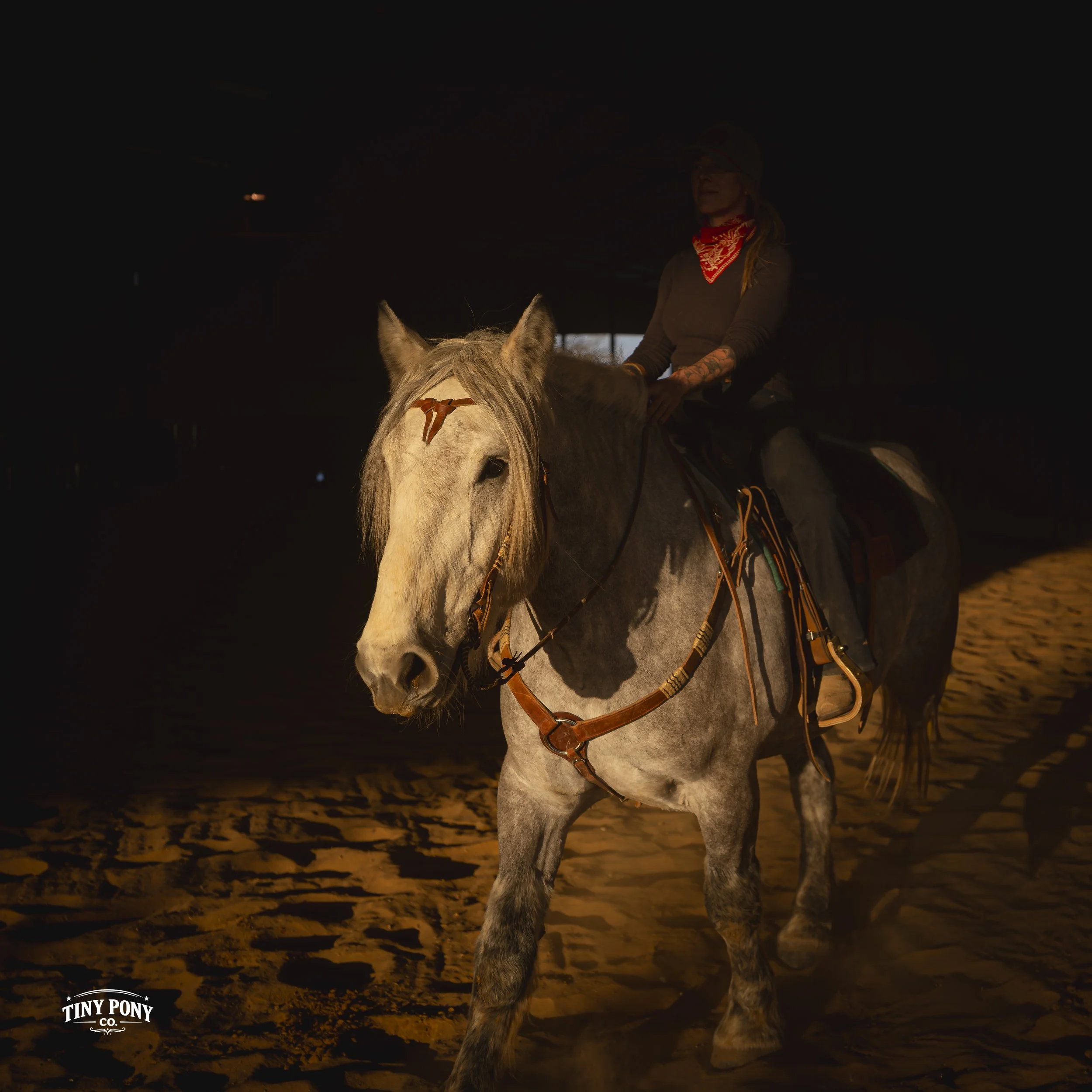 A person riding a white horse inside an indoor riding arena with sandy floor, with a small logo of Tiny Pony Co. in the bottom left corner.