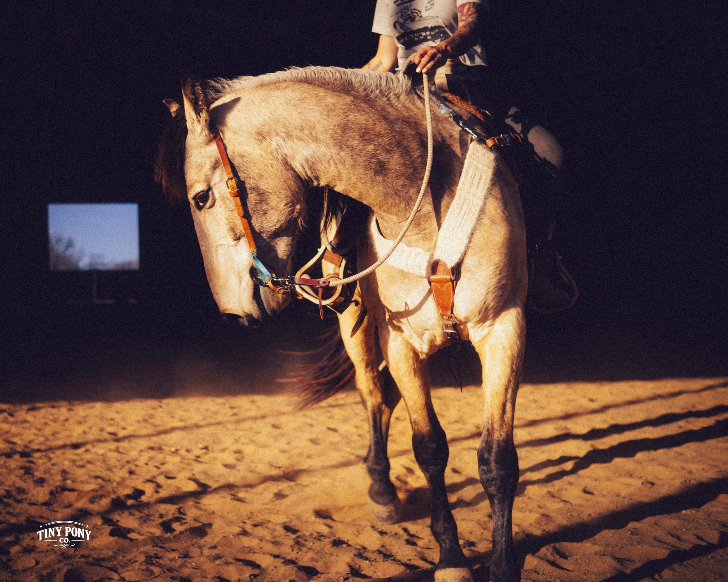 A person riding a light-colored horse on a sandy surface at sunset or sunrise, with a dark background and a small illuminated screen in the distance.