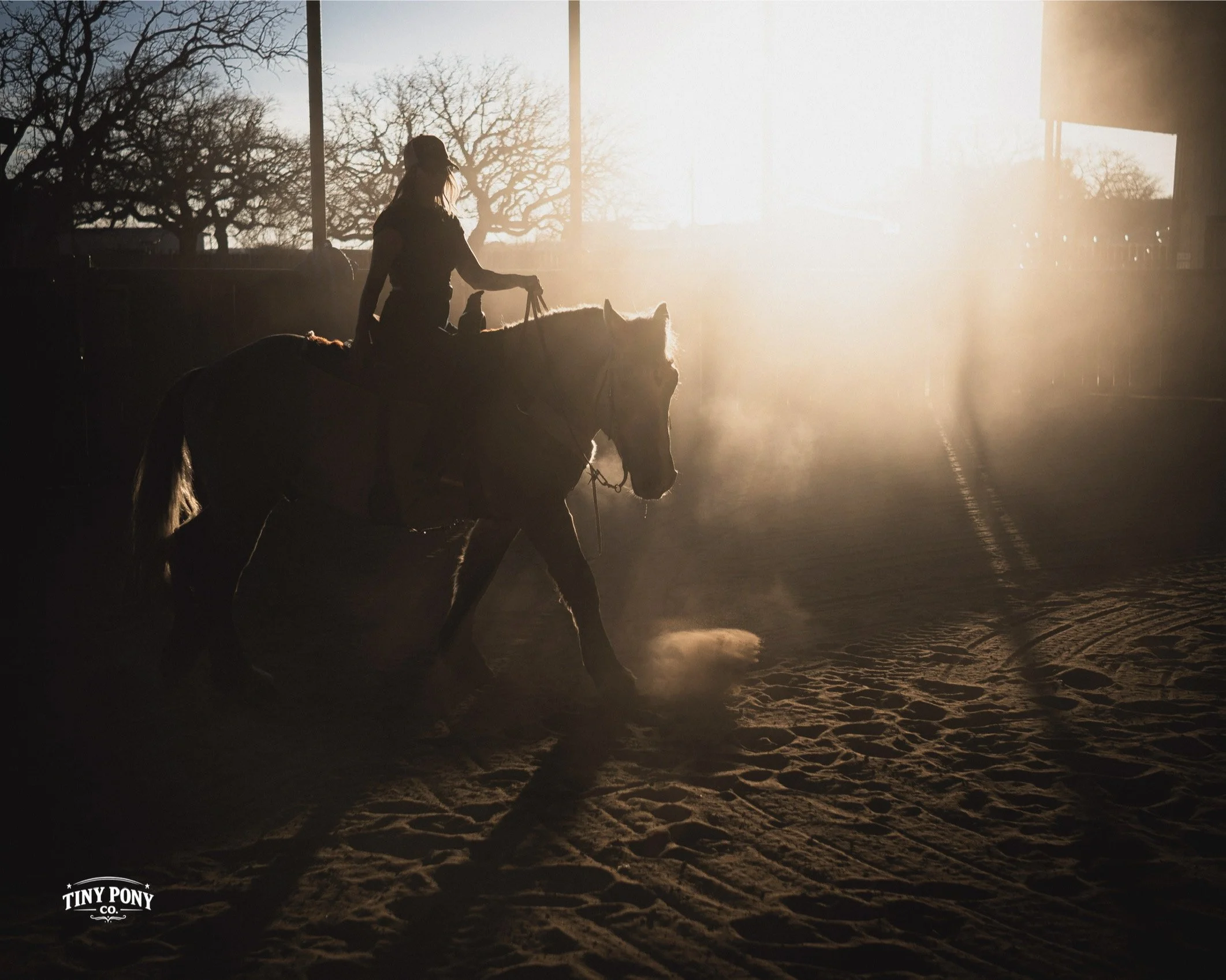 Silhouette of a woman riding a horse in an indoor arena during sunset with dust rising from the sand floor.