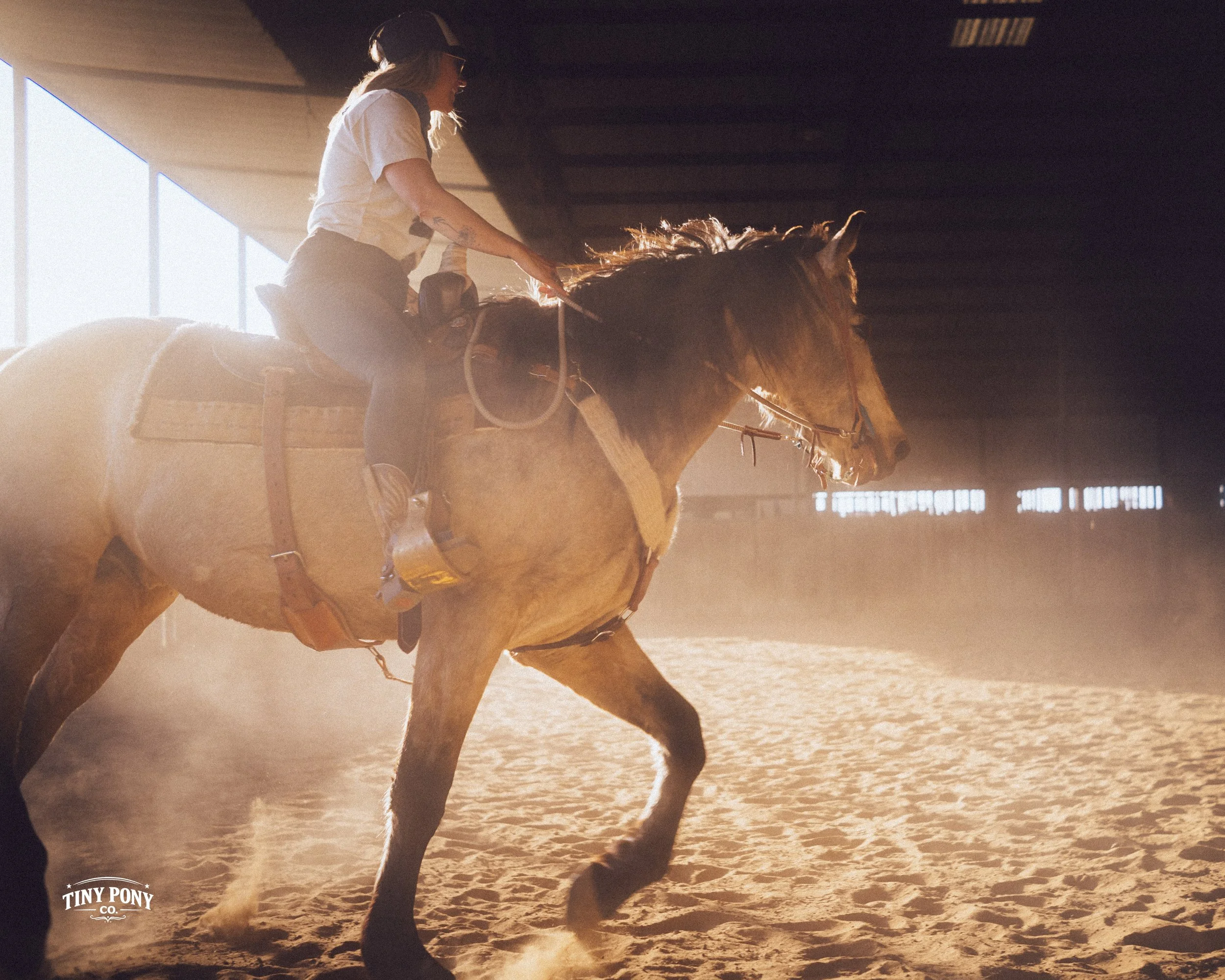 A woman riding a horse inside an indoor riding arena, with sunlight streaming through large windows, creating a warm glow and dust in the air.