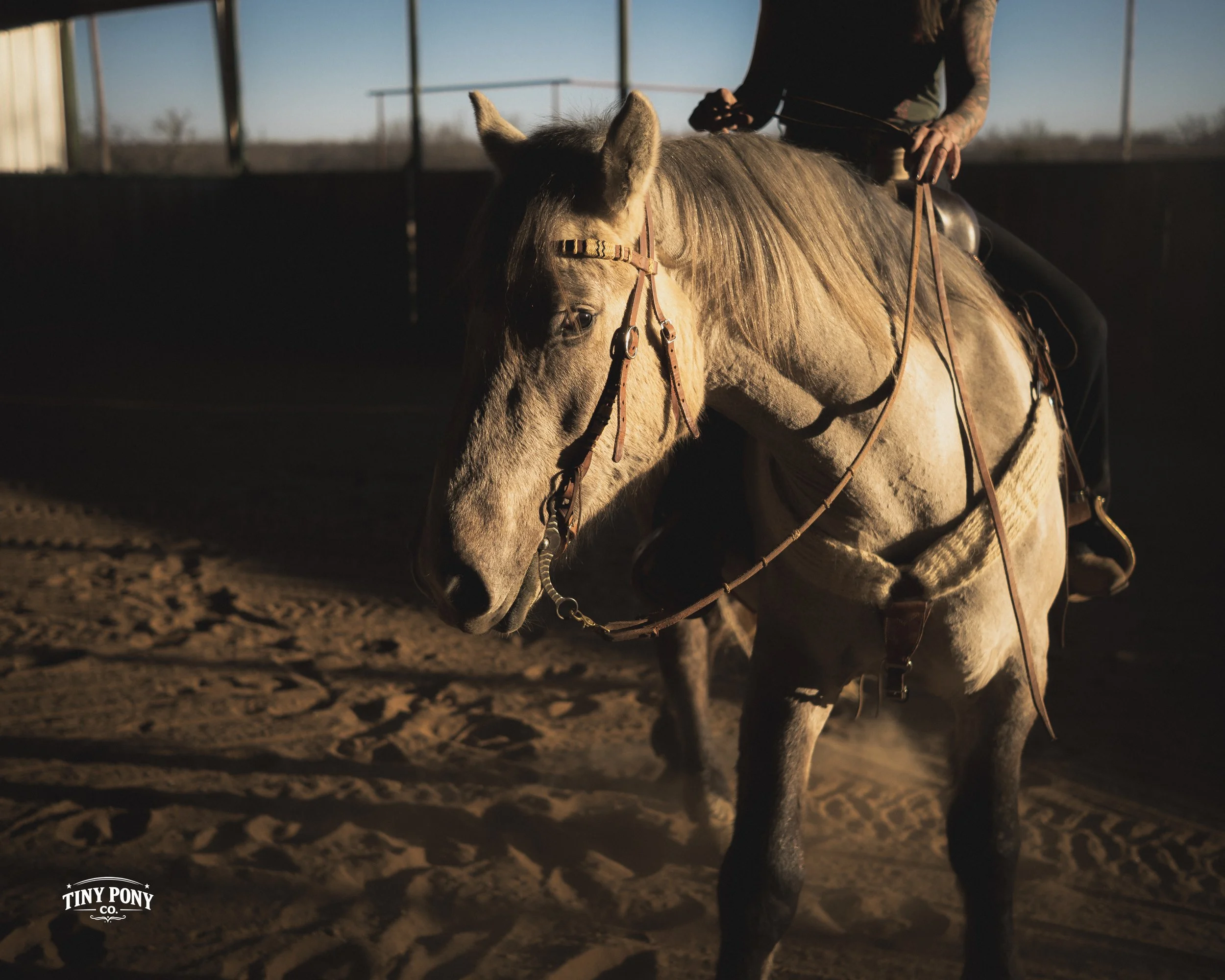 A person riding a light brown horse in an indoor riding arena, with sunlight shining on the horse's head and shoulders.