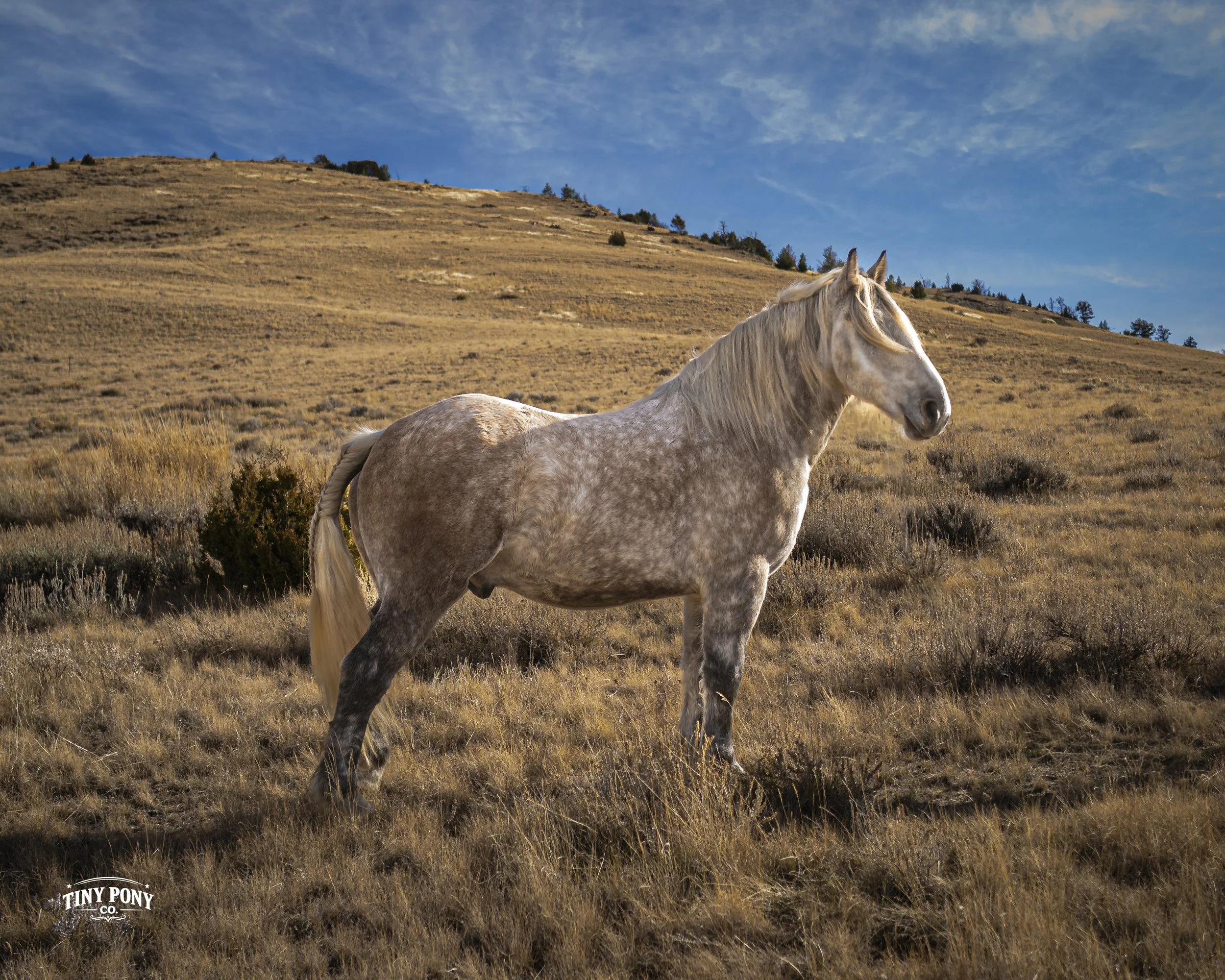 Click here for his video!