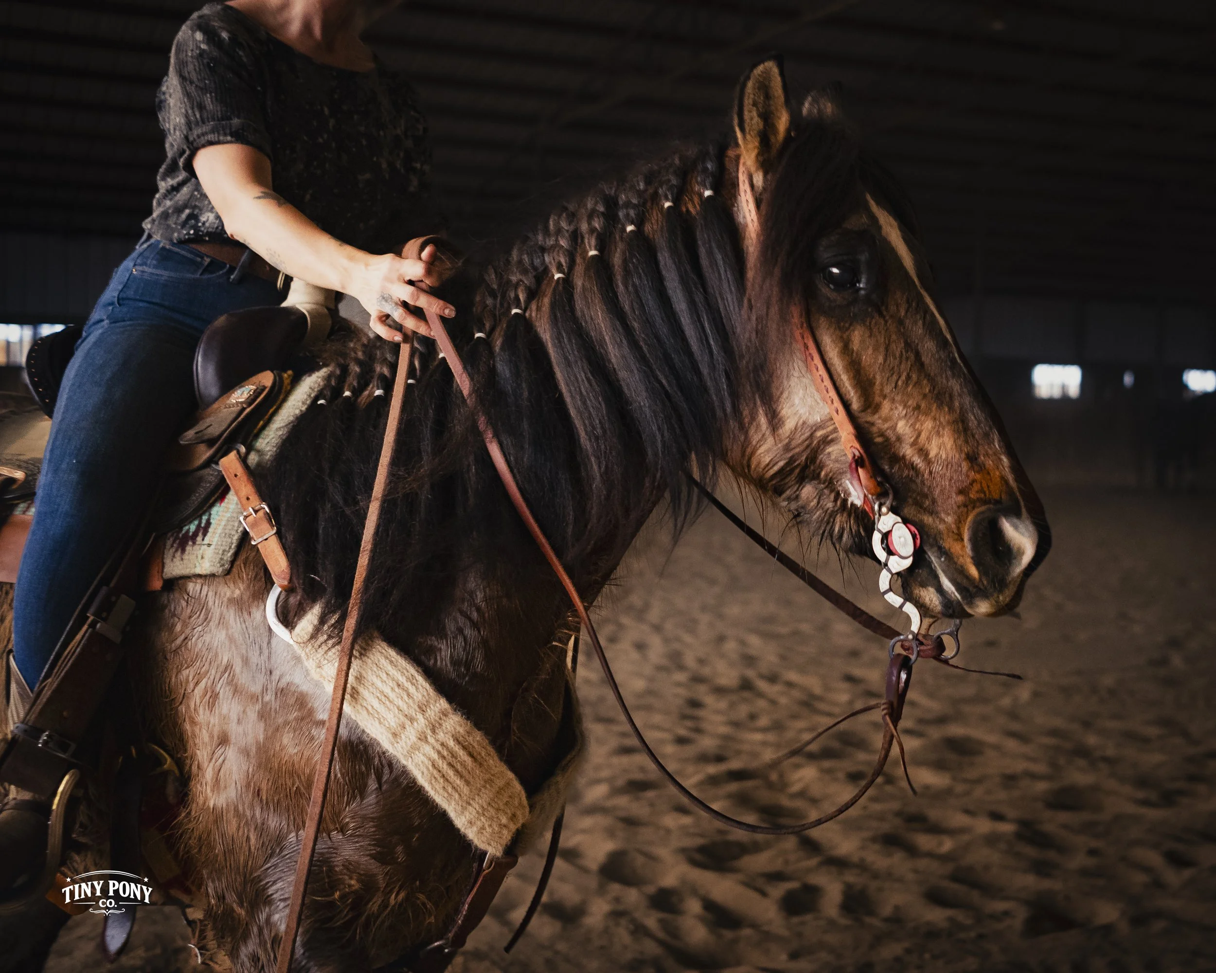 Woman in black T-shirt and jeans riding a brown and black horse inside an indoor riding arena.