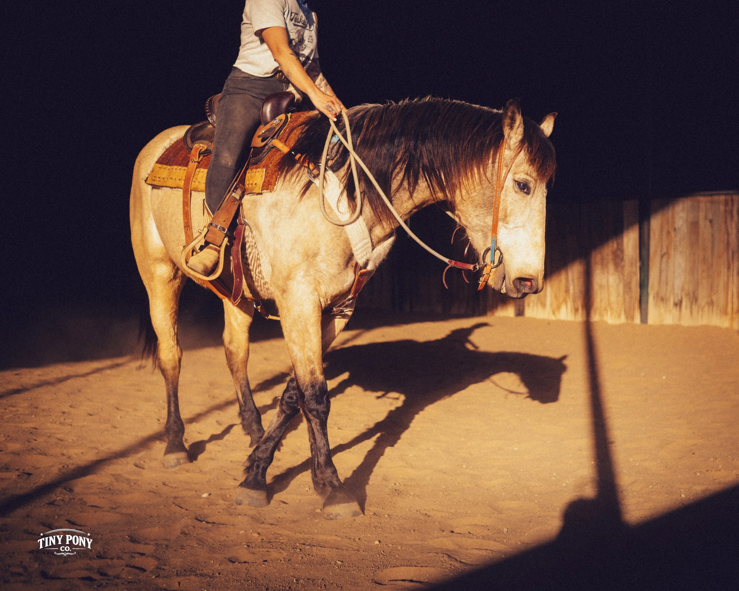 A person riding a horse at night in an enclosed area, illuminated by artificial light. The horse has a light-colored coat and a dark mane, and the rider is holding the reins.