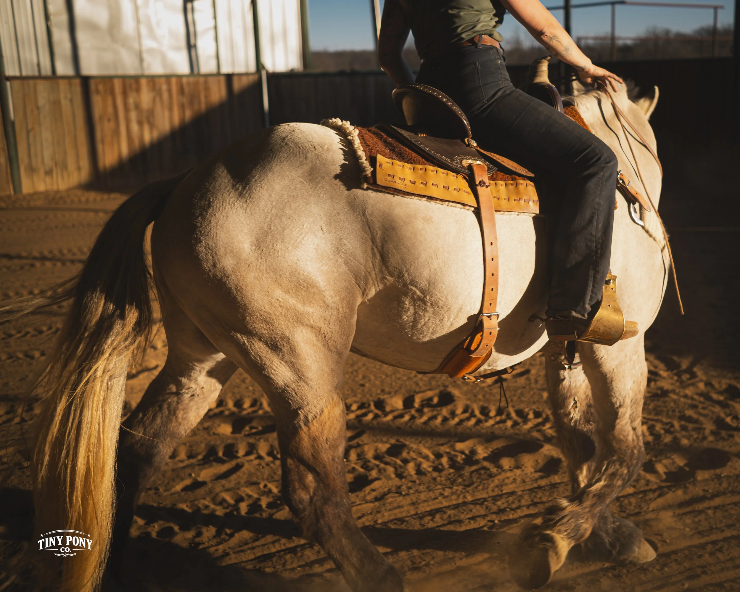 A person riding a white horse inside an indoor arena with wooden and metal walls, wearing black jeans and a green top.
