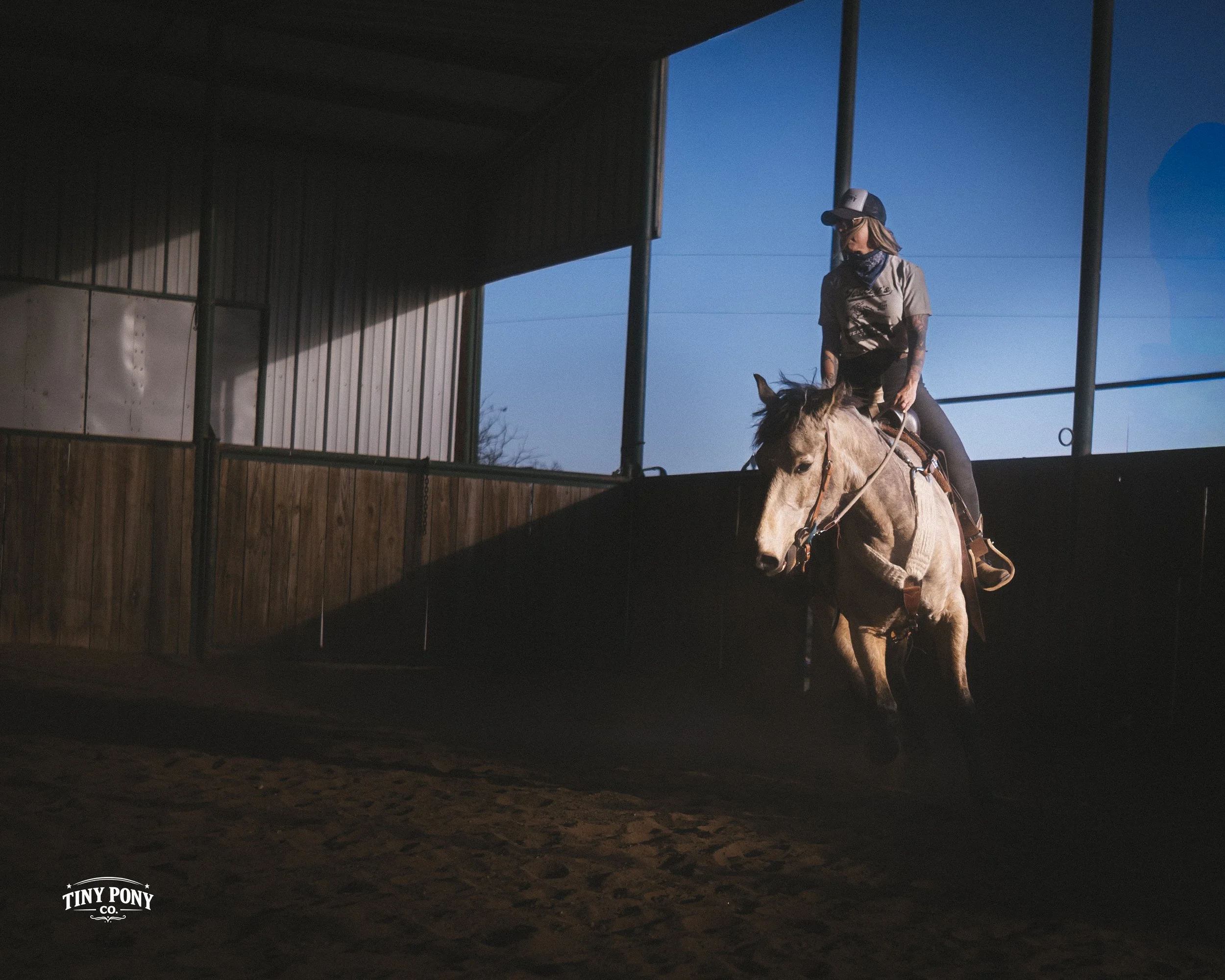 A woman riding a horse inside an indoor riding arena with wooden paneling and large open windows, as sunlight casts shadows.