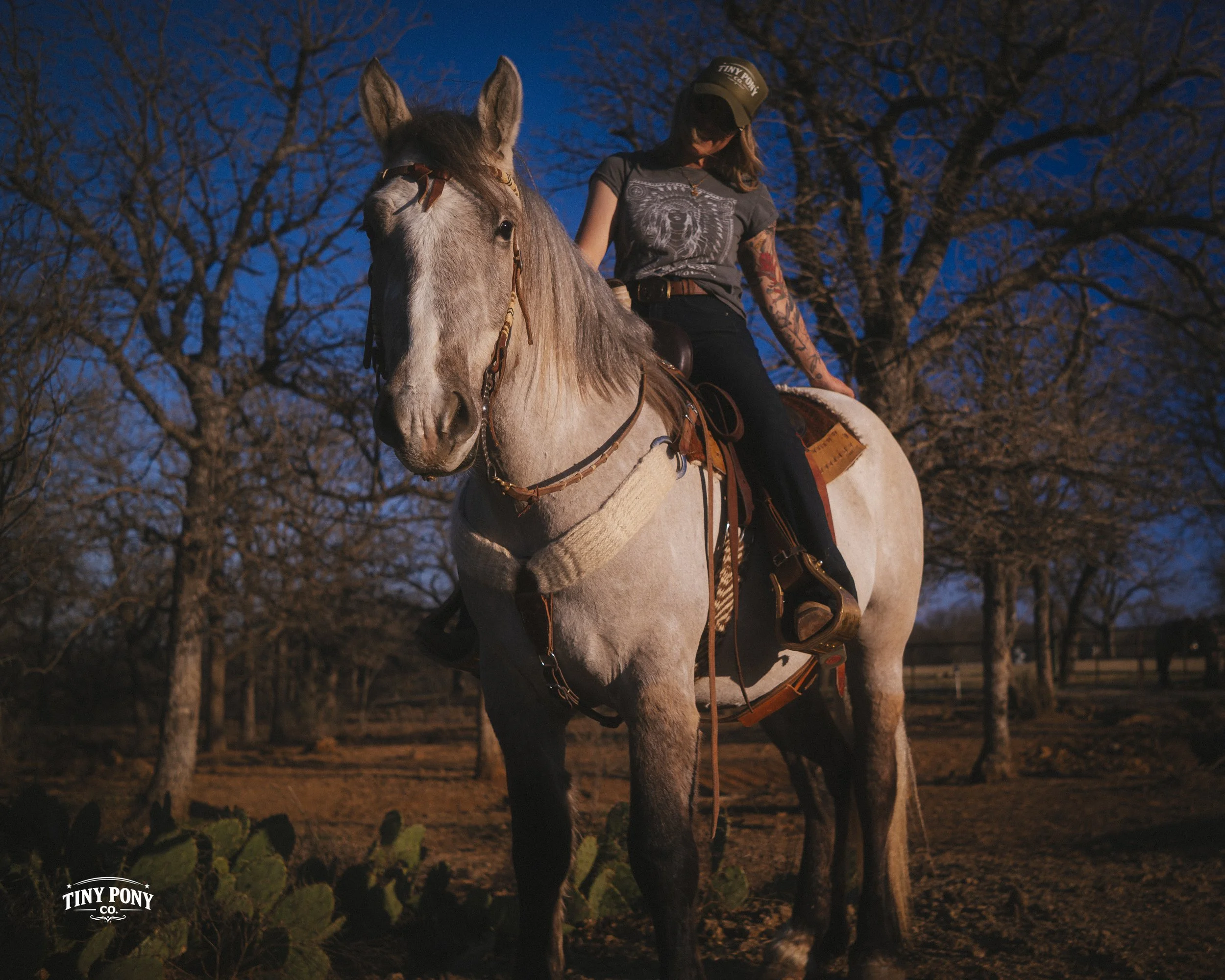 A woman riding a gray horse in an outdoor setting at dusk, with bare trees in the background.