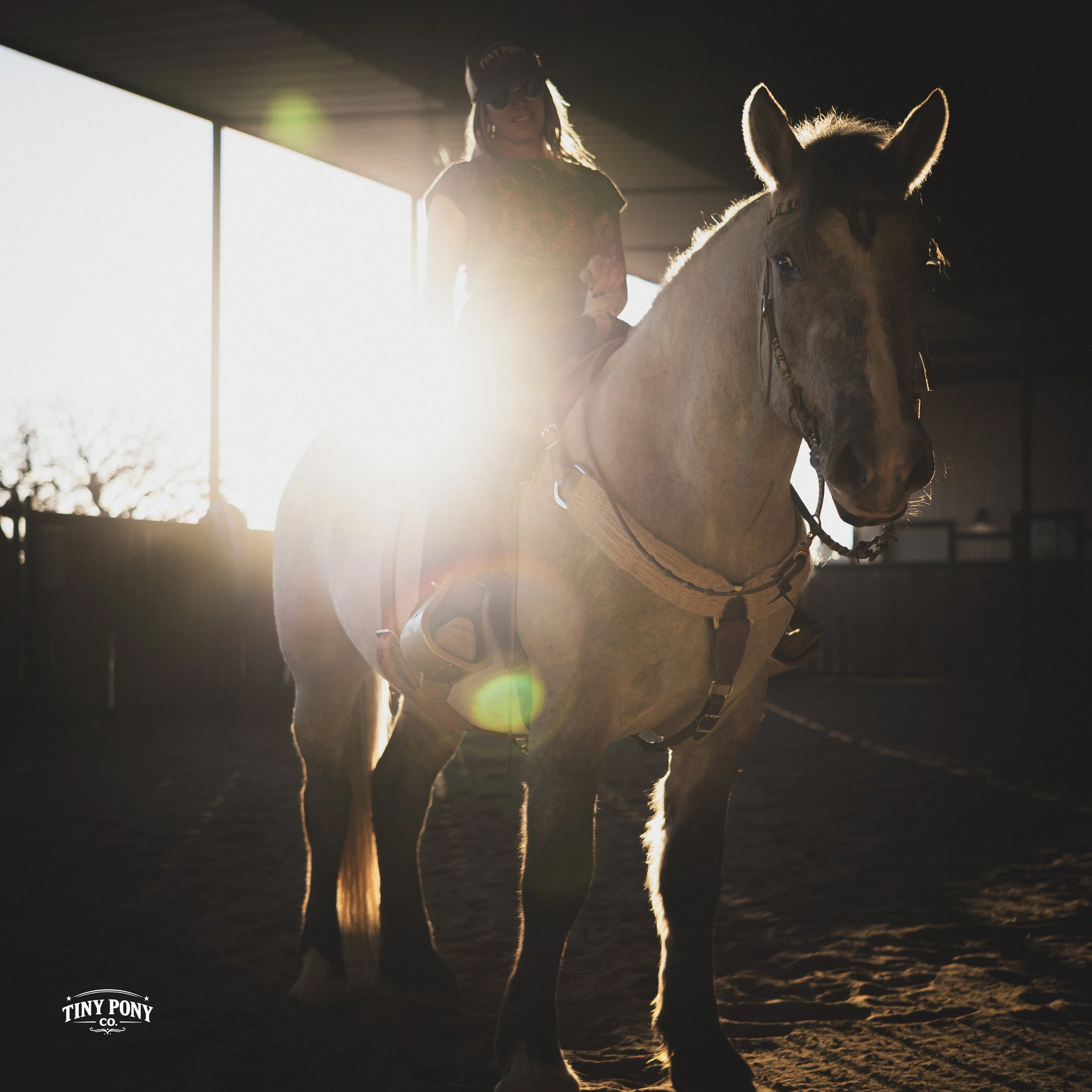 A woman riding a horse in an indoor riding arena with sunlight streaming in behind her.