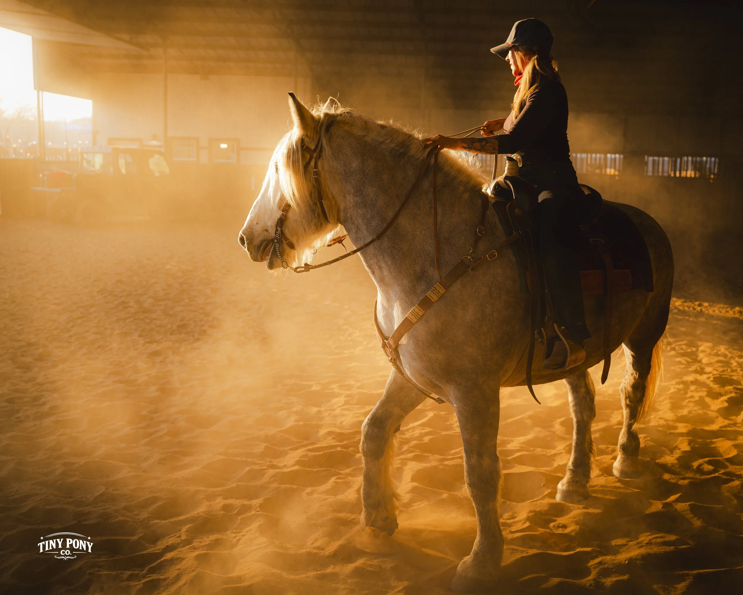 A woman riding a light-colored horse inside an indoor riding arena illuminated by warm sunlight.
