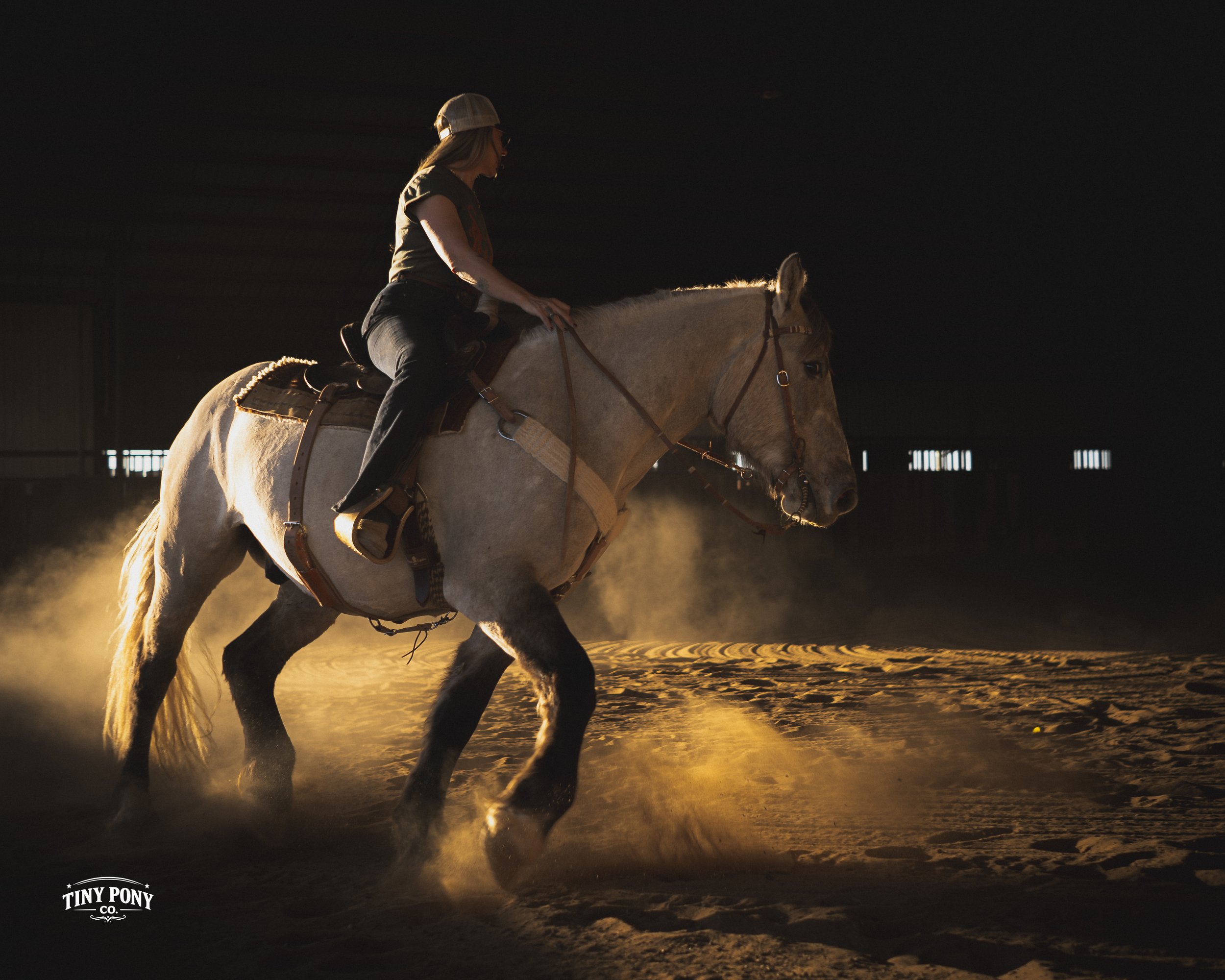 A woman riding a horse in an indoor arena at sunset or night, with dust rising from the ground.