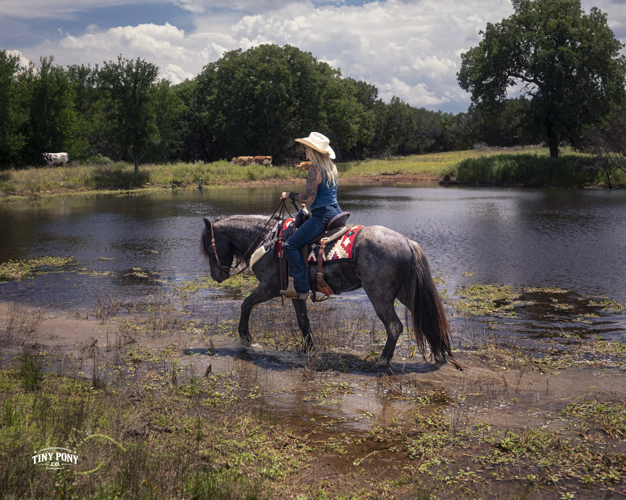 L1030226.jpg