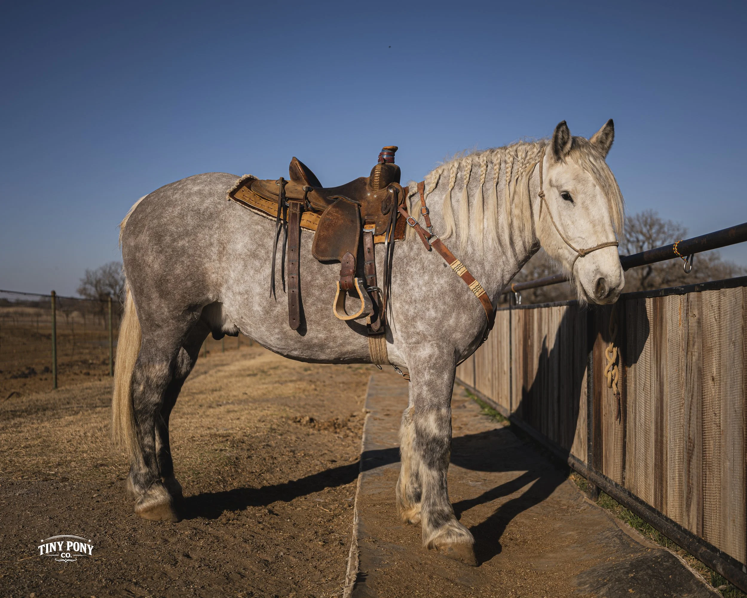 Torgard dressed for work