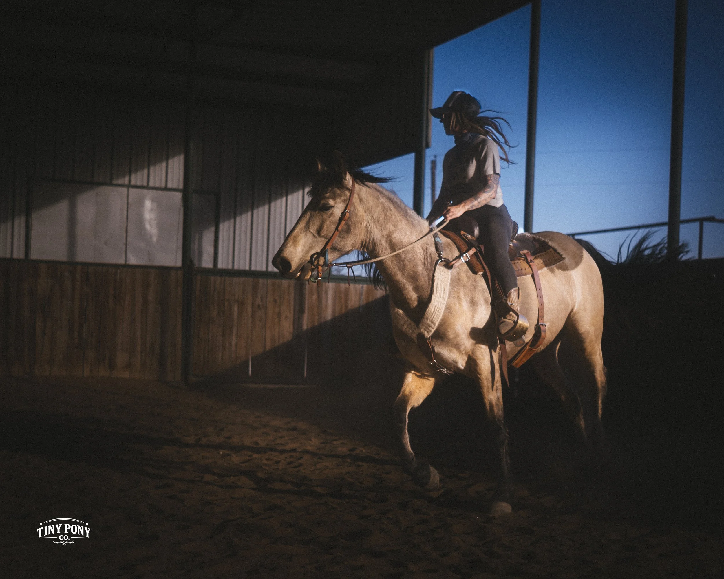 A person riding a horse inside an indoor arena, with wooden walls and a blue sky visible through the open side. The rider is wearing a black hat and casual clothing, and the horse is beige with a saddle. The image is taken at dusk or dawn, with shado