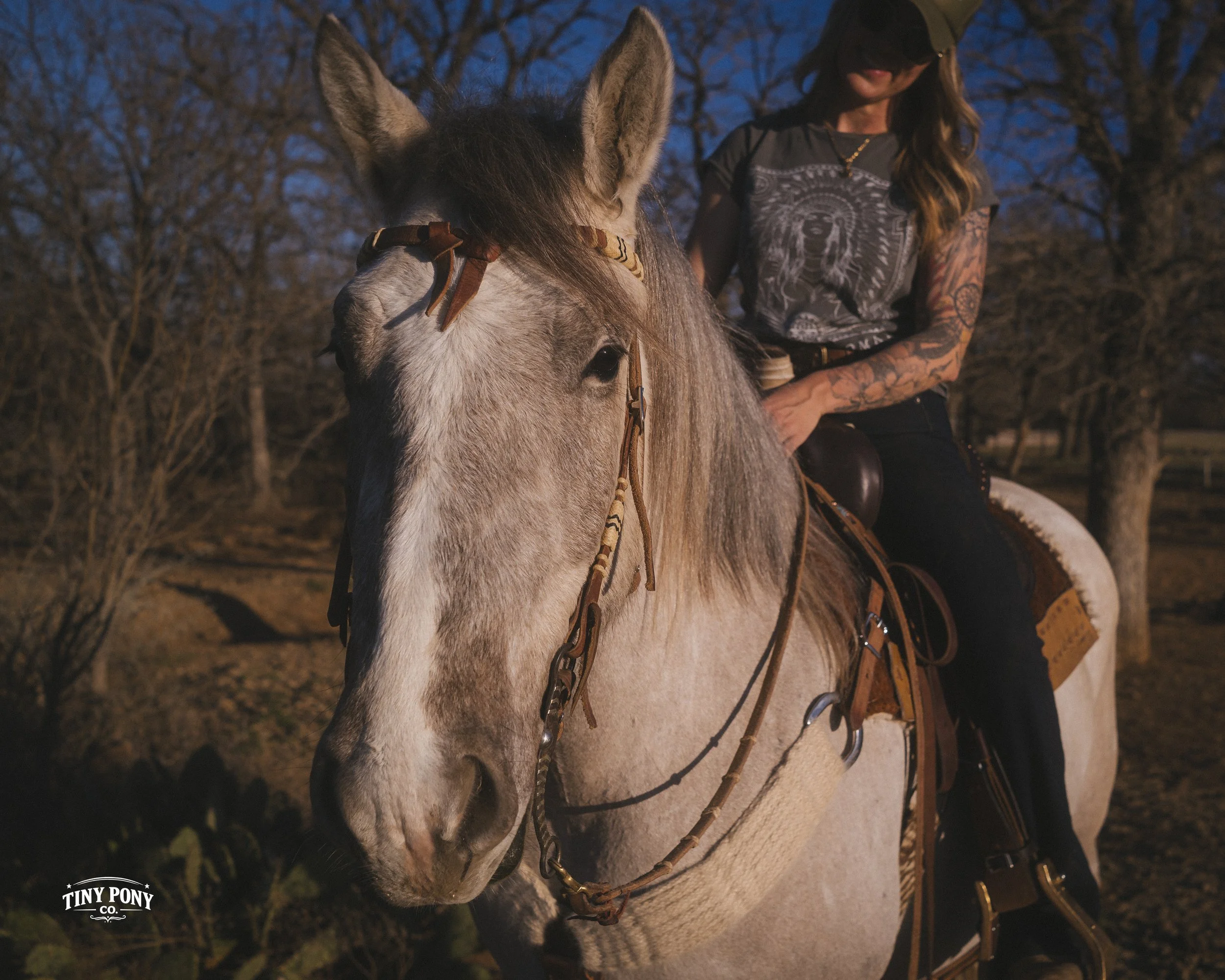 A woman with tattoos wearing a t-shirt and hat is riding a gray horse outdoors at sunset, with leafless trees and a blue sky in the background.