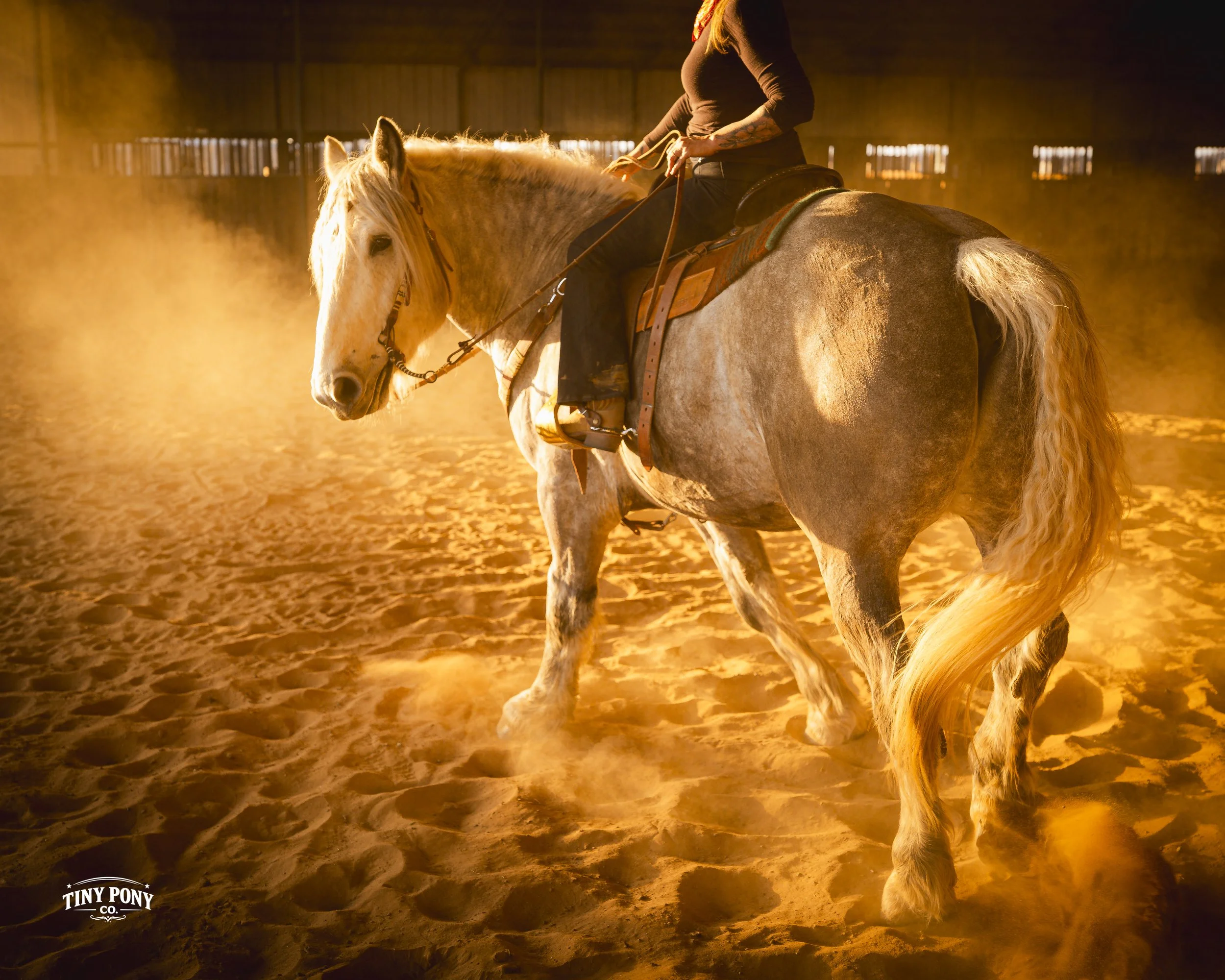 A person riding a light-colored horse inside an indoor riding arena with a sandy floor and warm lighting.