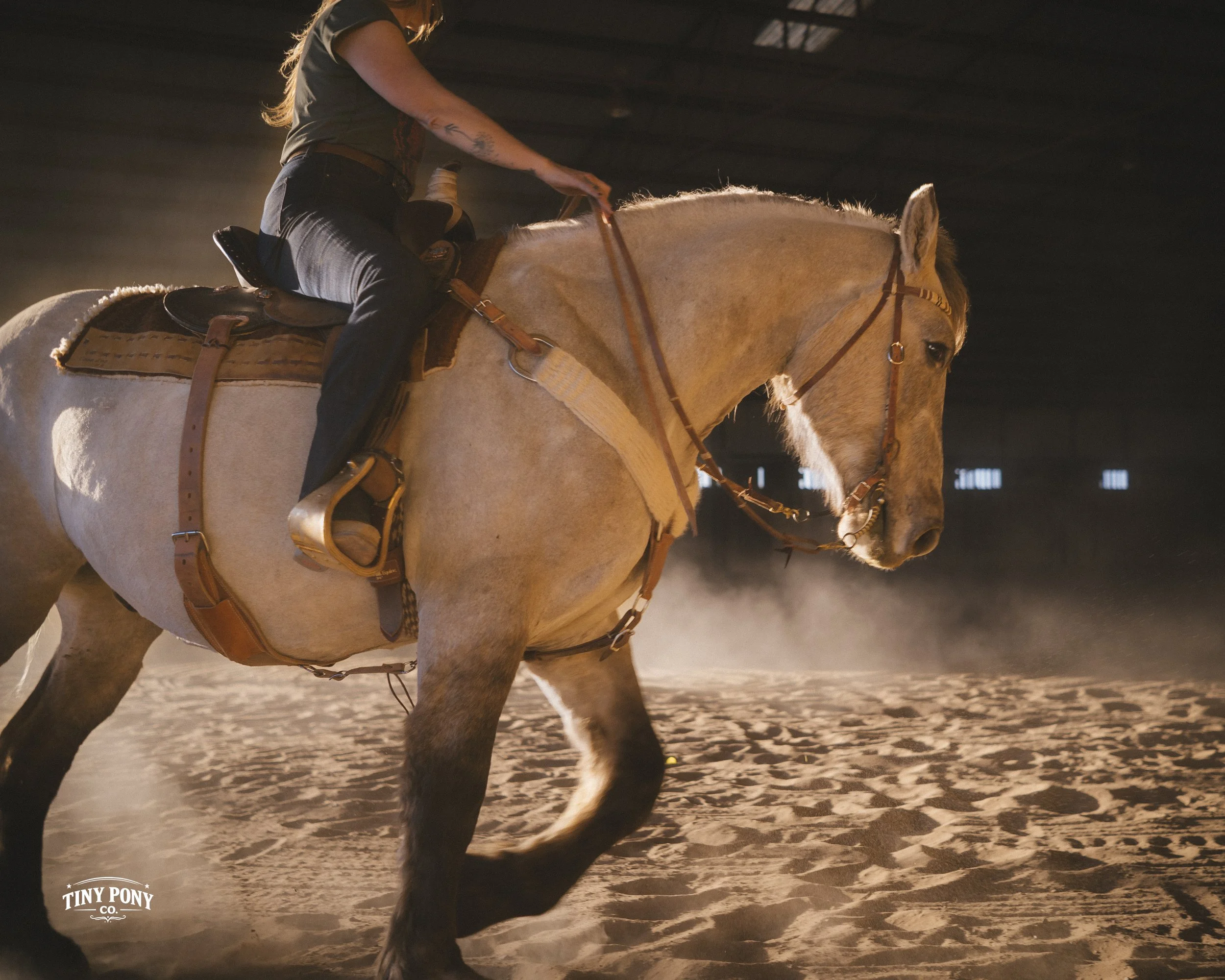 Sunset training time for Blackfoot