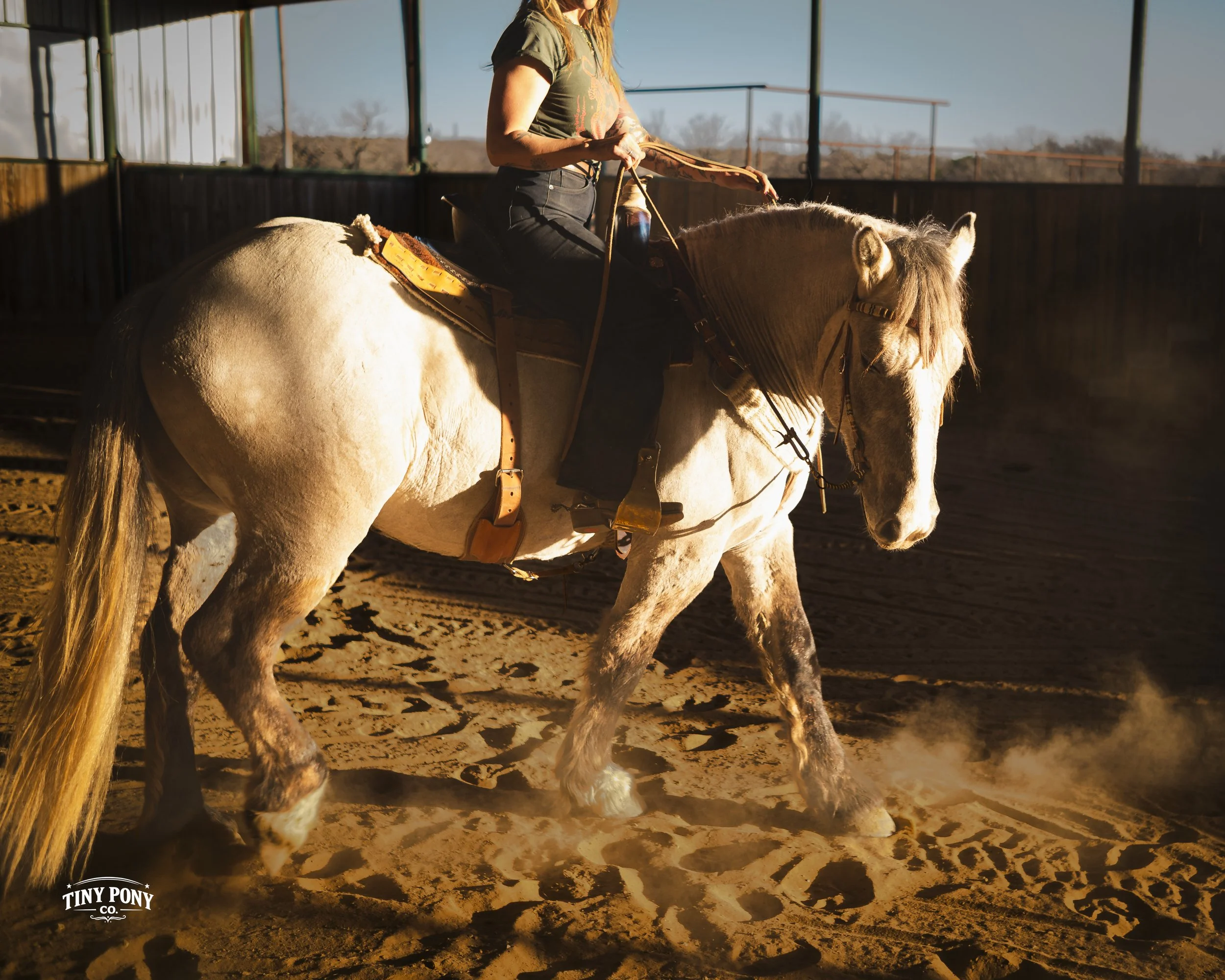 A woman riding a white horse with a blonde mane in an indoor riding arena with sunlight streaming in. The woman is wearing a gray t-shirt and black pants, holding the reins. The arena has sandy ground and a wooden fence in the background. There is a 