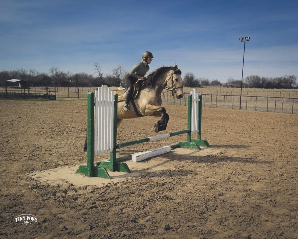 A person riding a horse over a jump in an outdoor equestrian arena on a clear day.