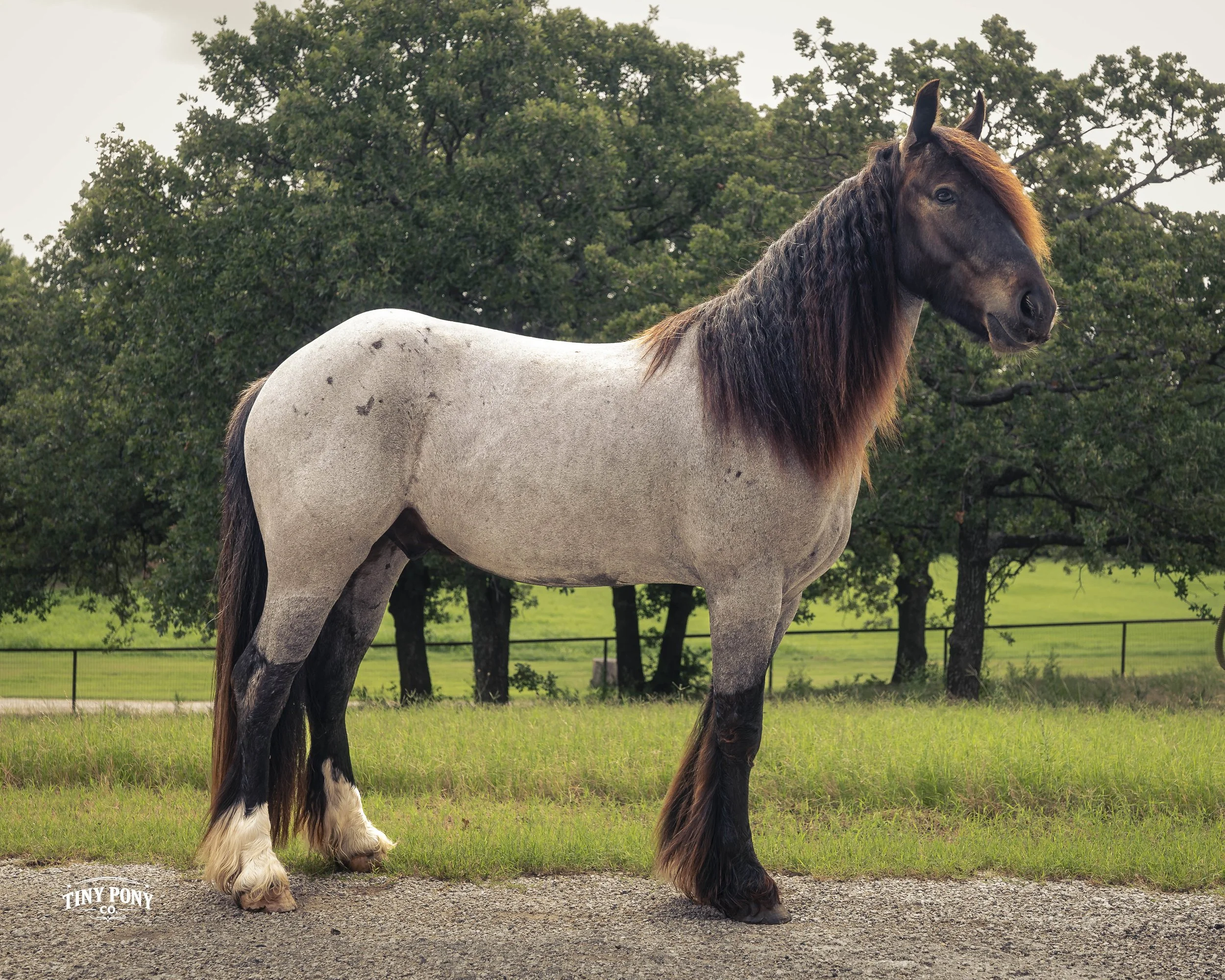 L1050335.jpg