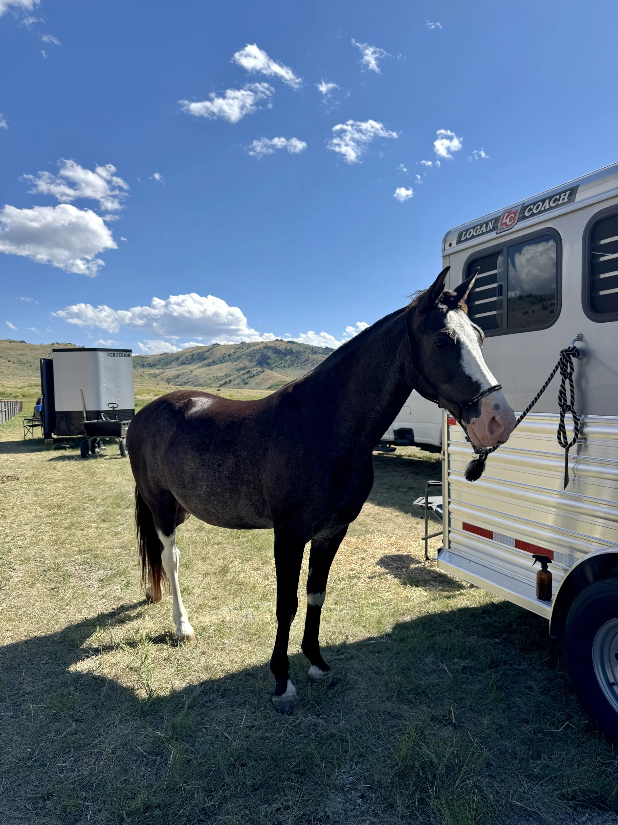 Ivar getting ready for work