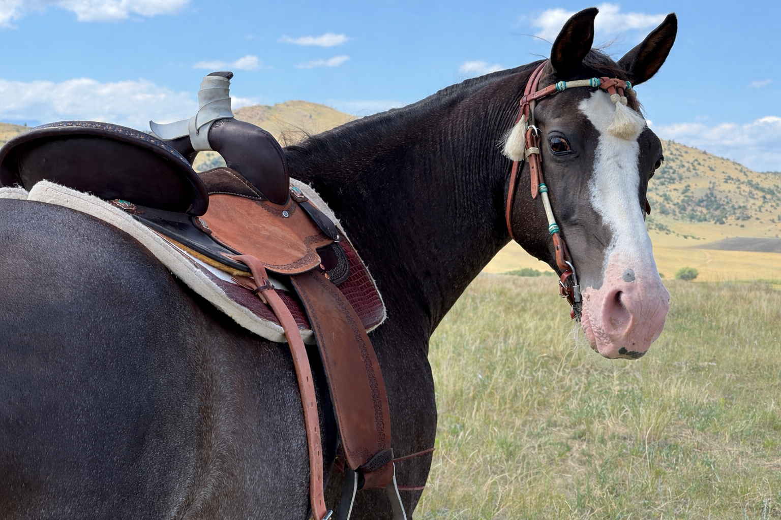 Ivar wondering when we're leaving