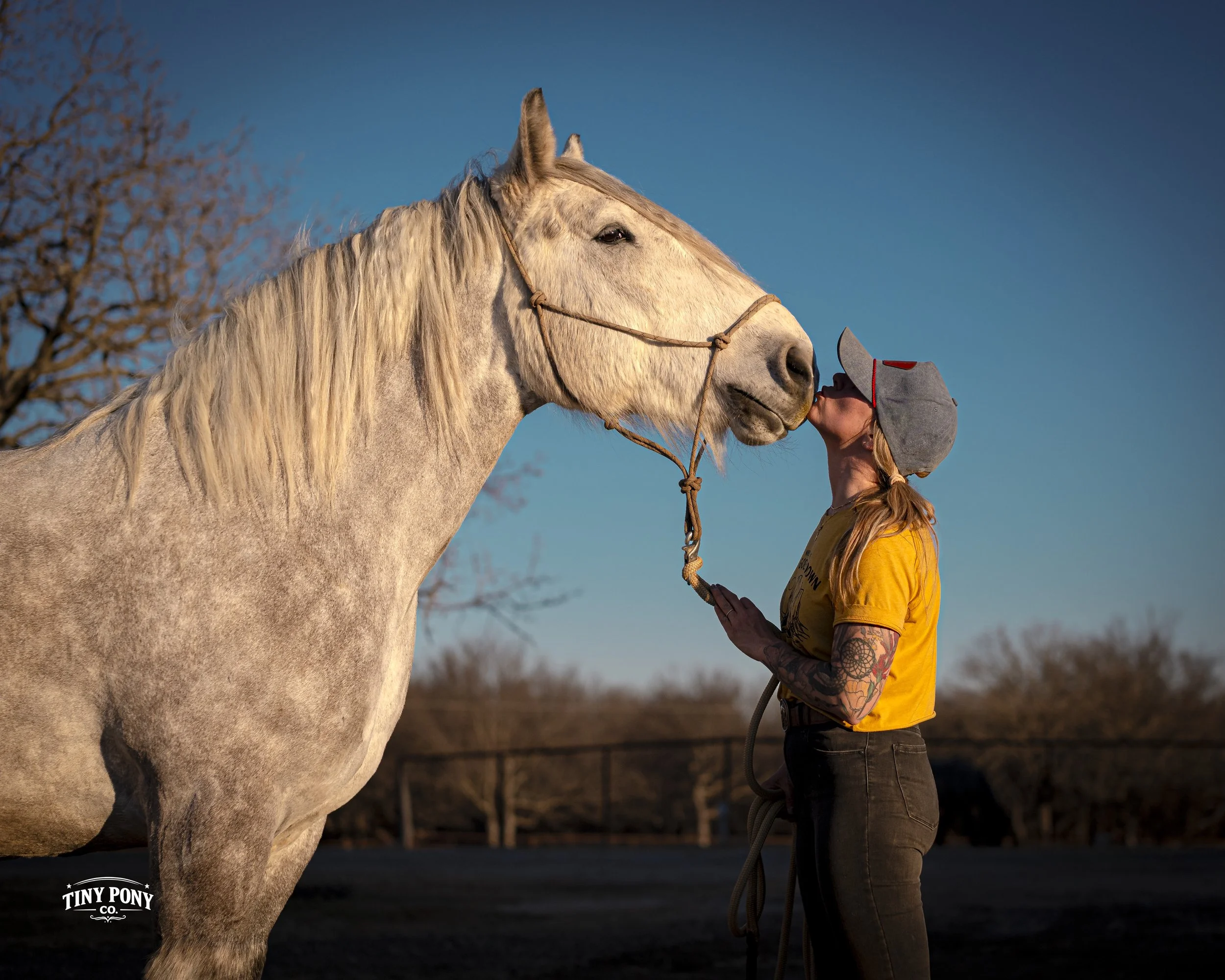 A woman kissing a light gray horse with a braided mane outdoors during sunset, with trees in the background.