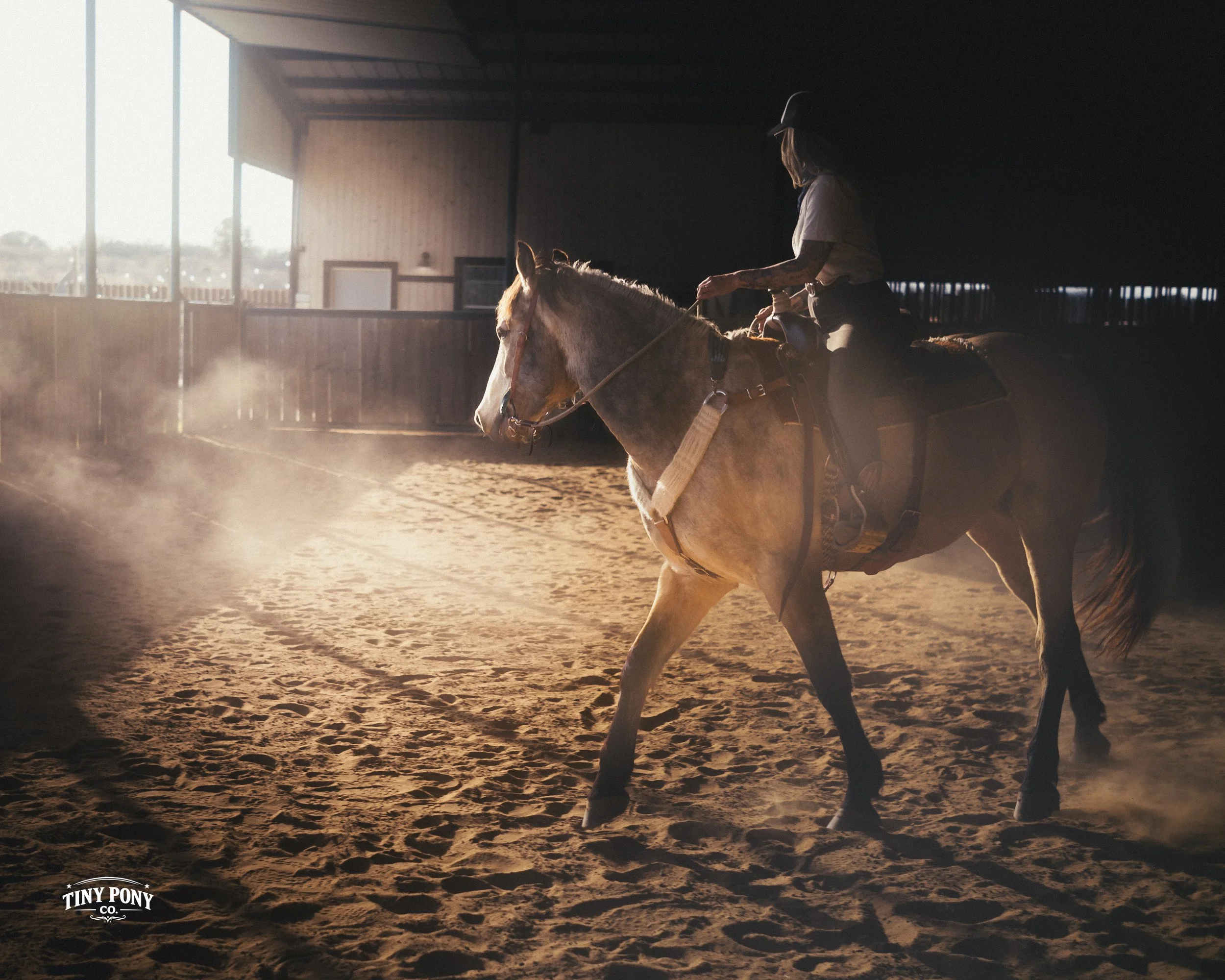 A person riding a horse inside a riding arena with sunlight streaming through large windows, creating a dust cloud around the horse's hooves.
