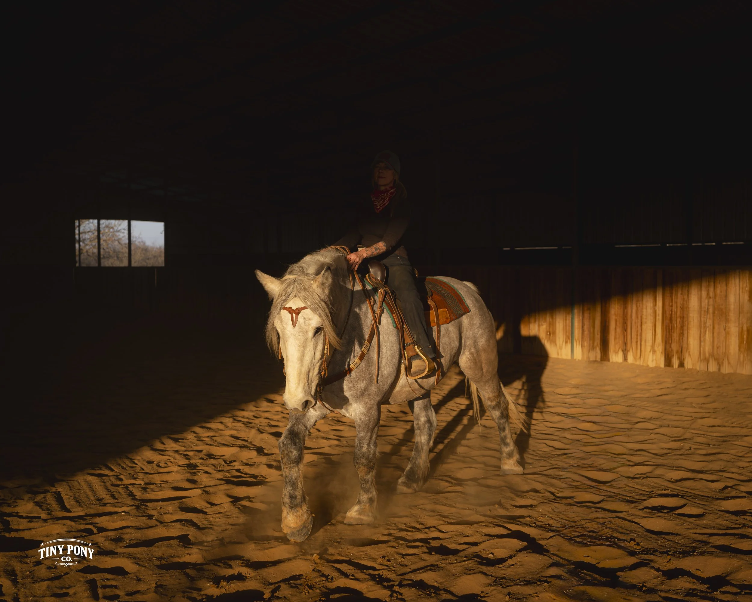 A woman riding a white horse inside an indoor riding arena with a sandy floor and wood-paneled walls, sunlight streaming in from small windows.