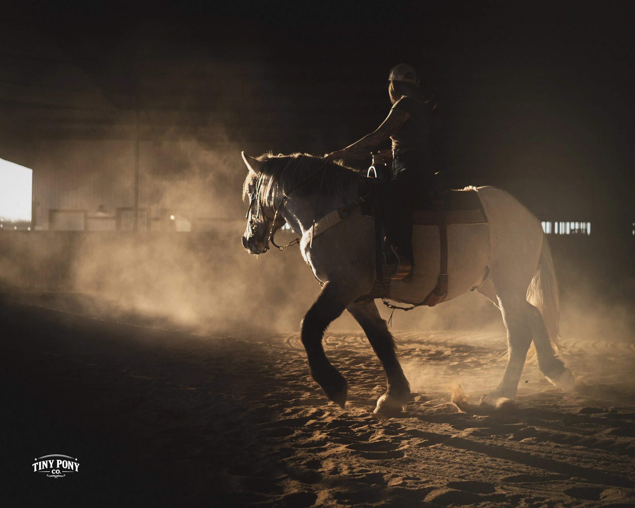 A person riding a horse in an indoor equestrian arena during golden hour, with dust or sand clouds illuminated by sunlight, creating a dramatic silhouette effect.