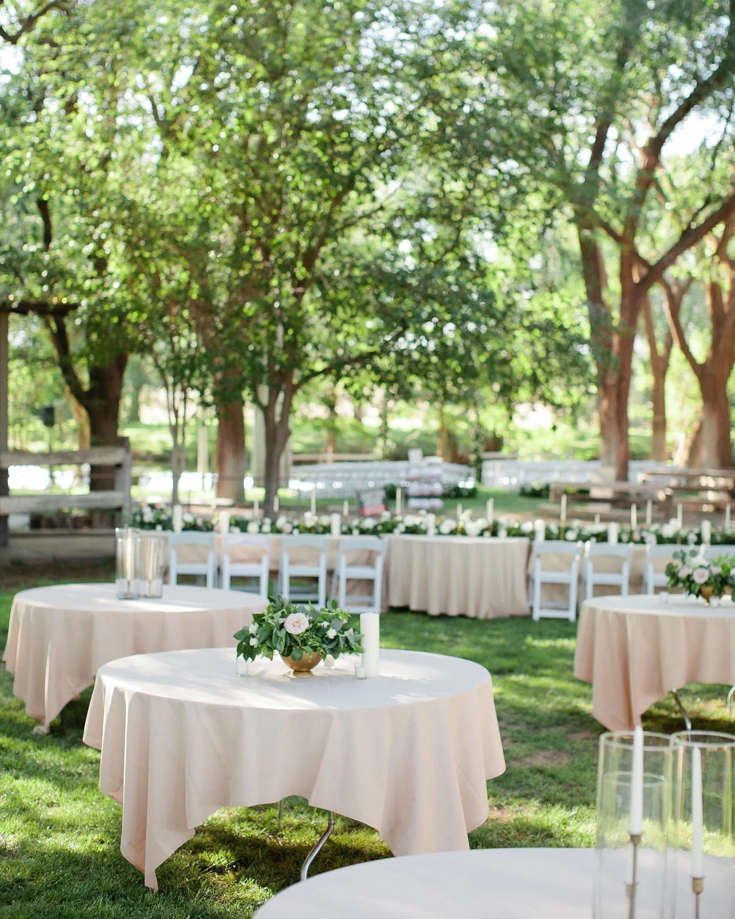 117889185_10158828324080719_2075735585021538131_n (1).jpg