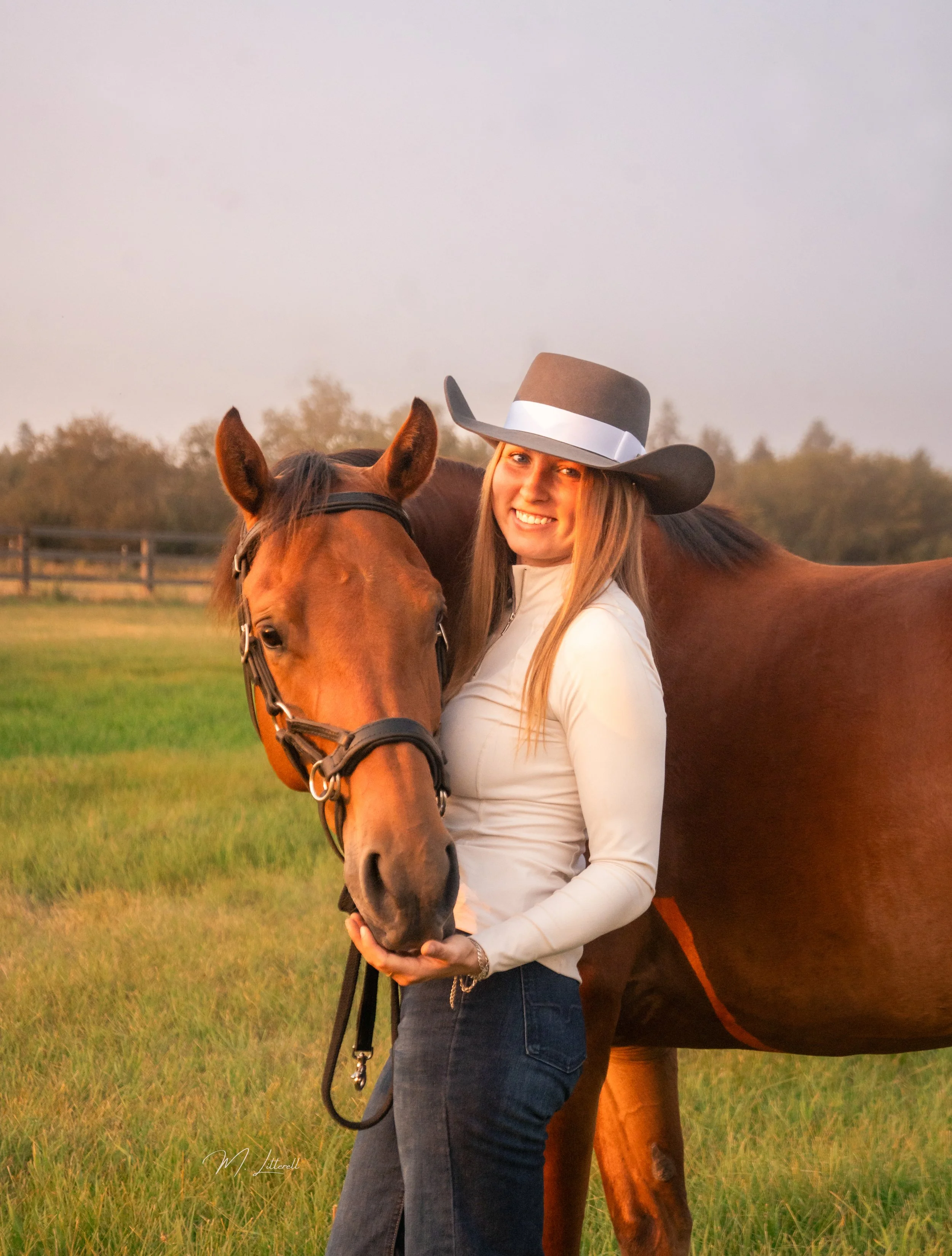 Equine