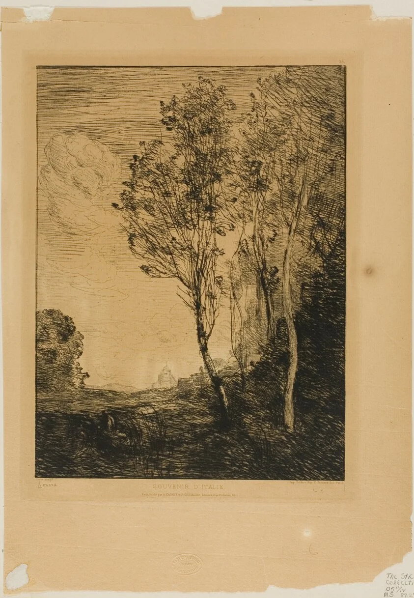 sketch of trees on yellowed paper