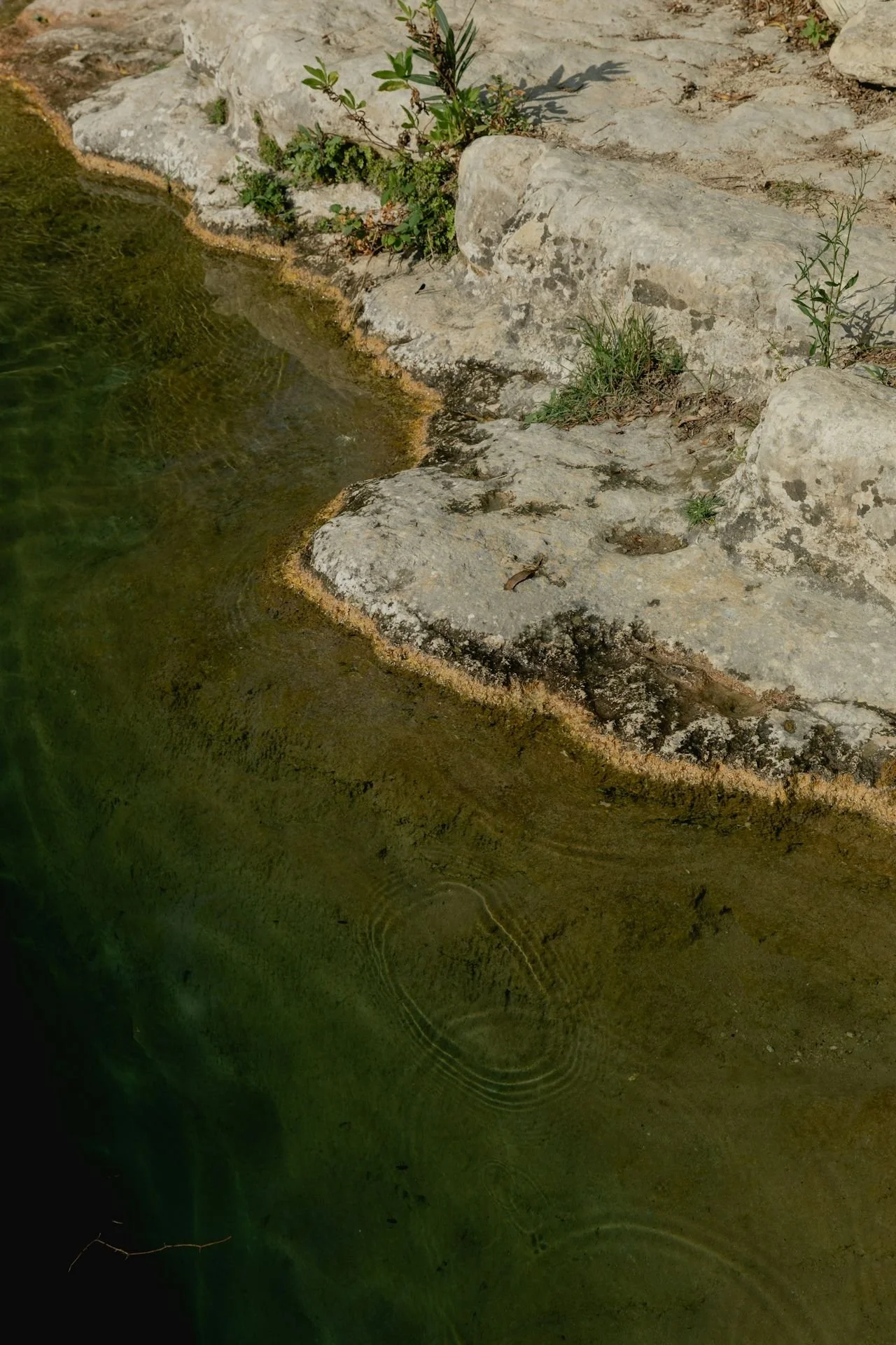 a circular current pattern in a green river-bordered
