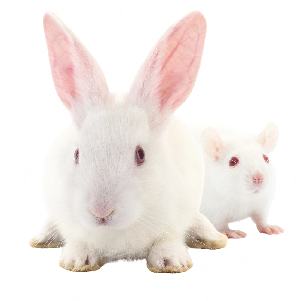 Dos conejos blancos, uno grande y otro pequeño, ambos con orejas largas y ojos oscuros.