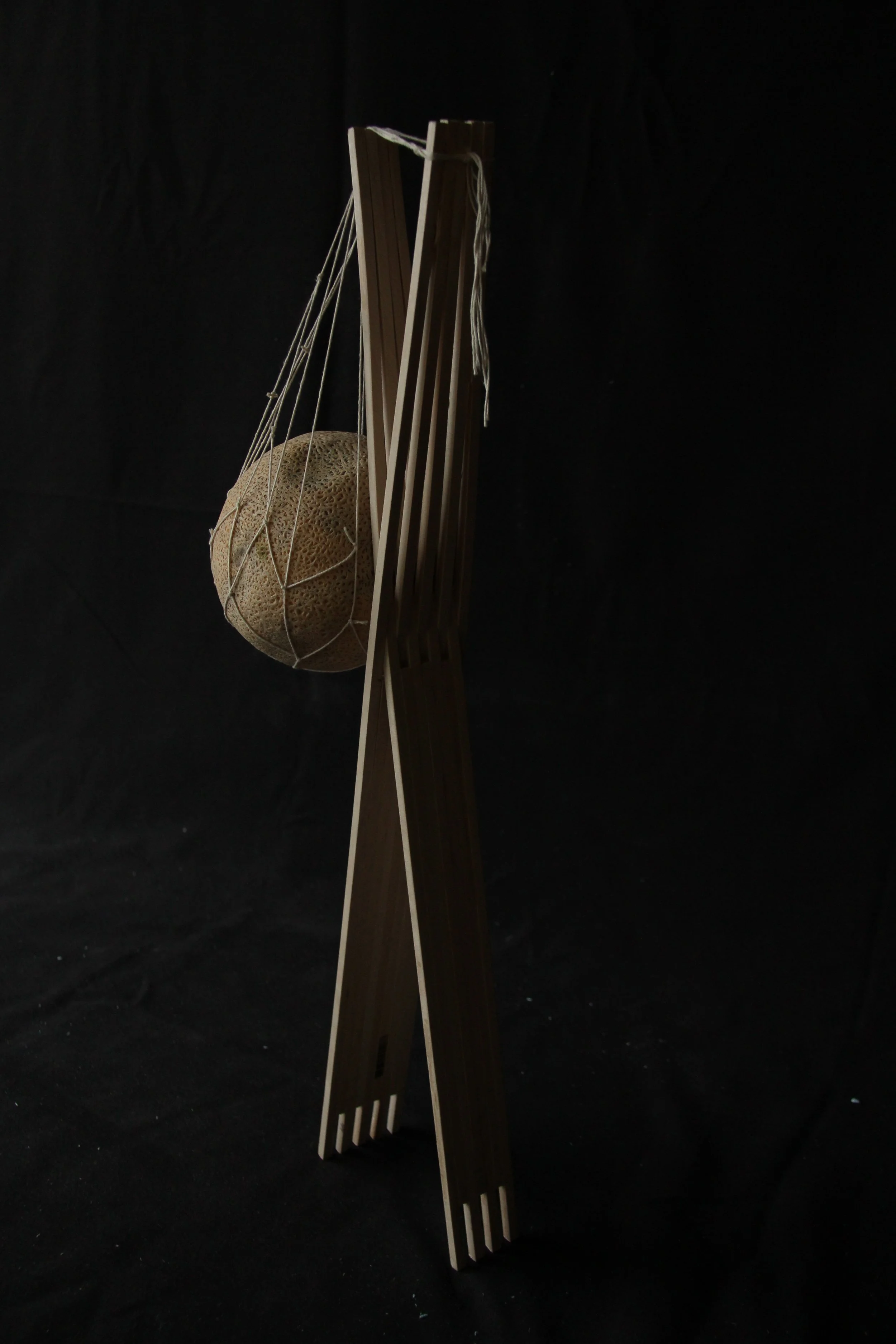 Cantaloup Hammock