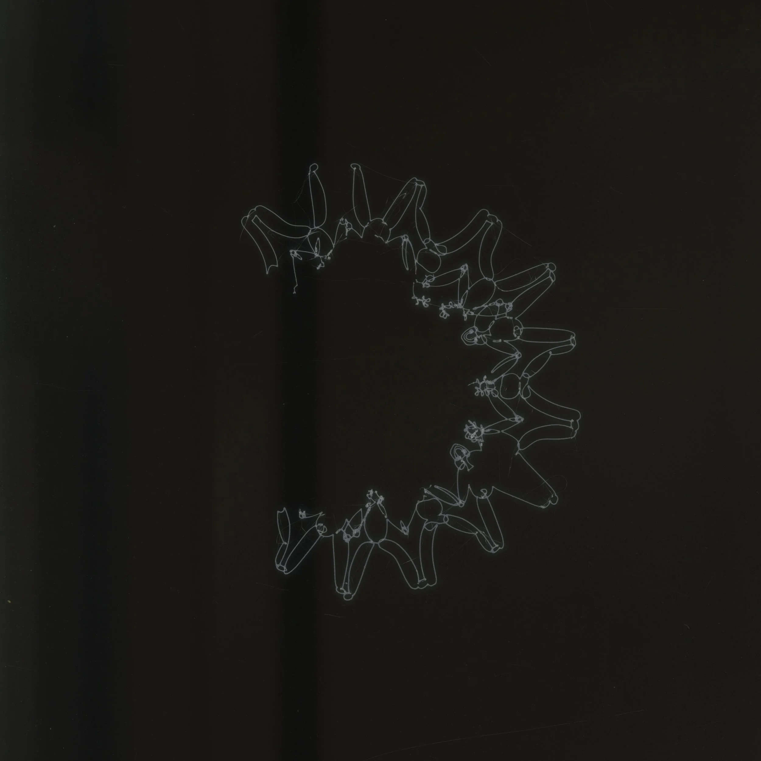 Scan 2.jpeg