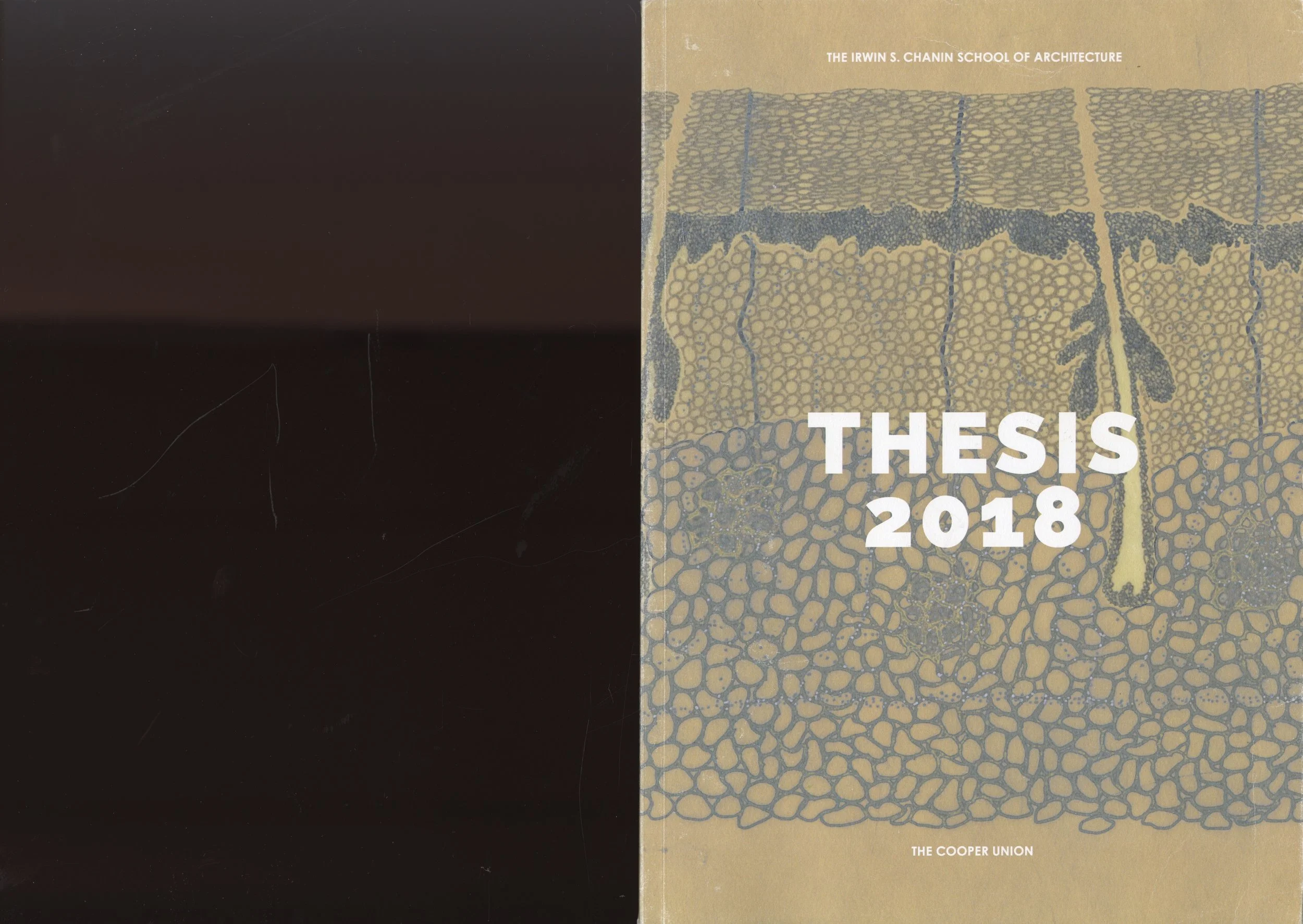 Undergraduate Thesis Book