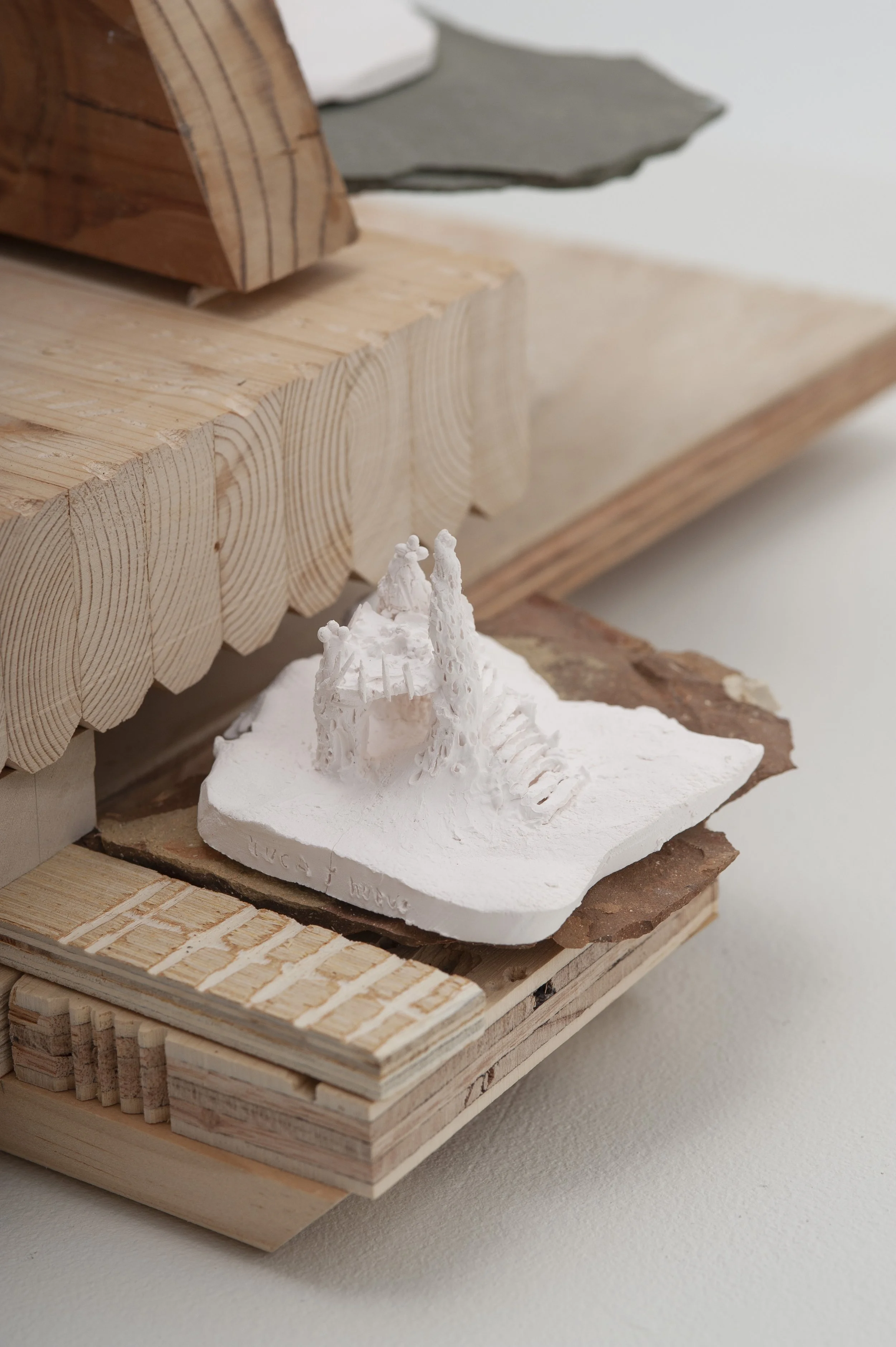 Gutierrez2022_image22 copy.jpg